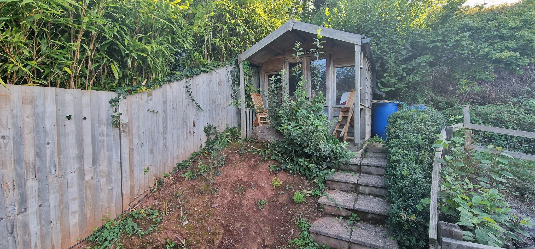 A small wooden garden shed with a gabled roof, accessible by stone steps, surrounded by greenery, bushes, and trees, with blue rain barrels next to it.