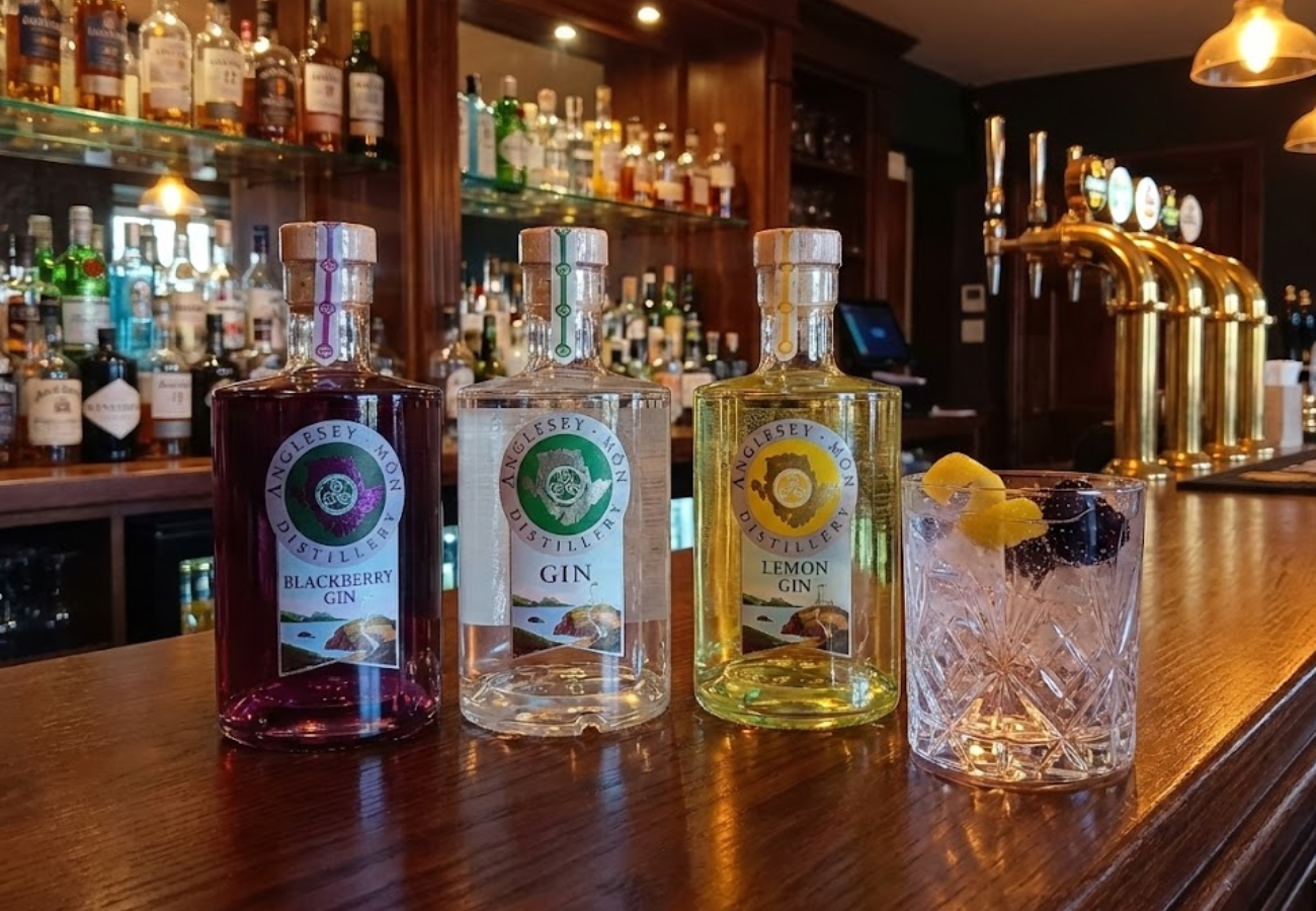 Three bottles of Anglesey Distillery gin with labels for Blackberry, Gin, and Lemon Gin on a wooden bar counter, with a glass containing garnished drink beside them, in a bar setting with shelves of liquor bottles and taps in the background.