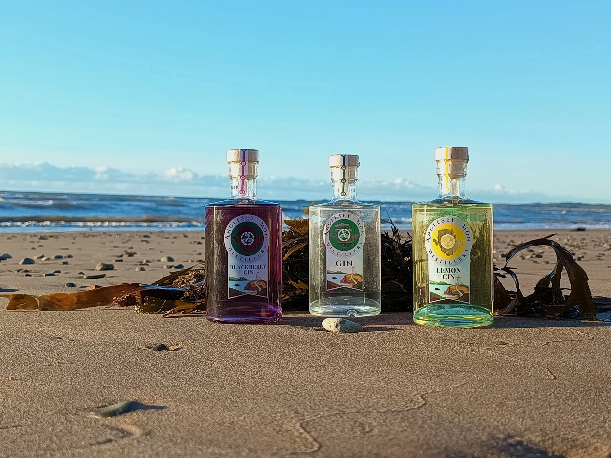 Three bottles of Anglesey Moon Distillery gin, blackberry, gin, and lemon flavors, are placed on sandy beach with ocean waves and a clear sky in the background.
