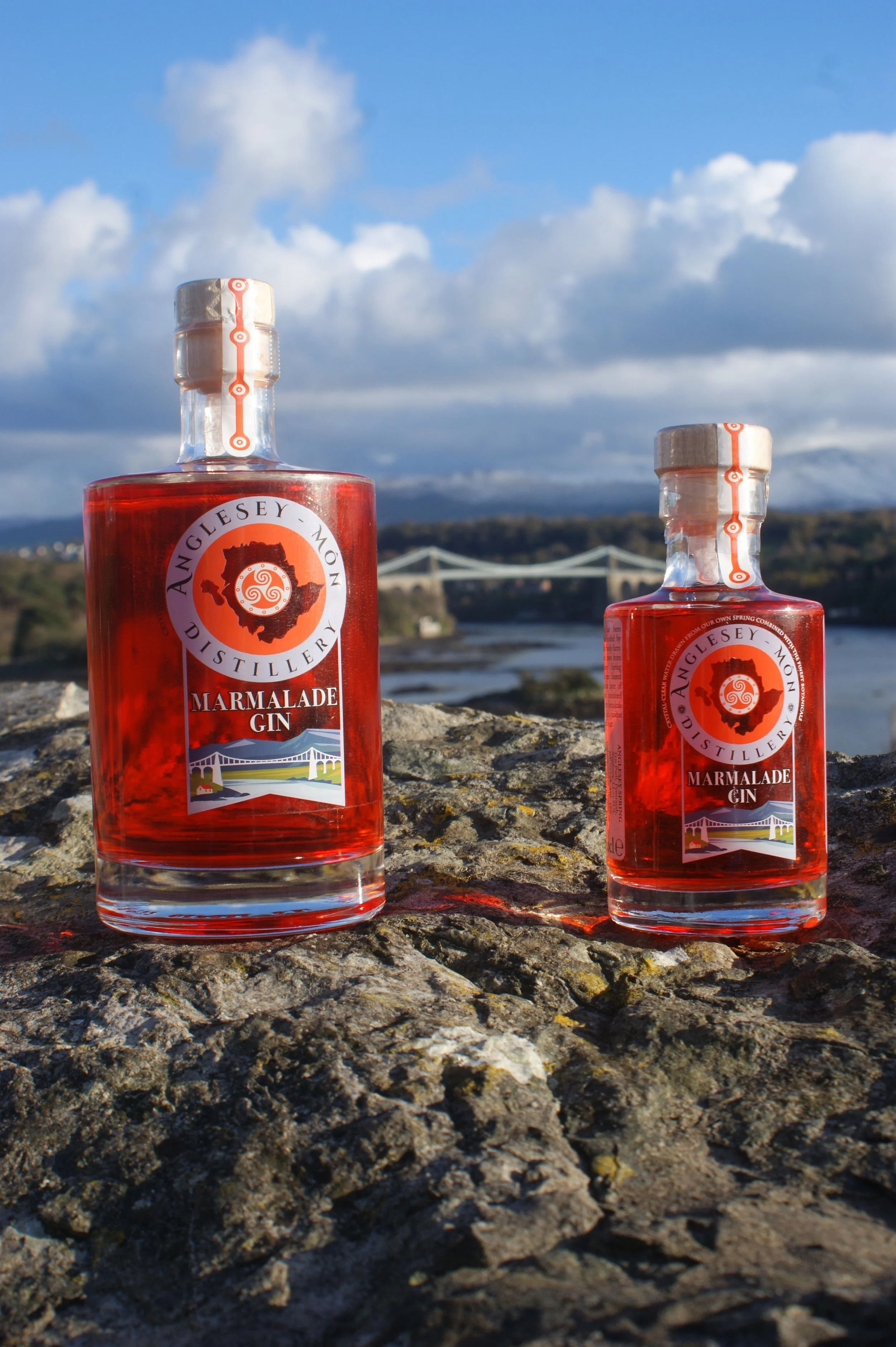 Anglesey Môn Marmalade Gin
