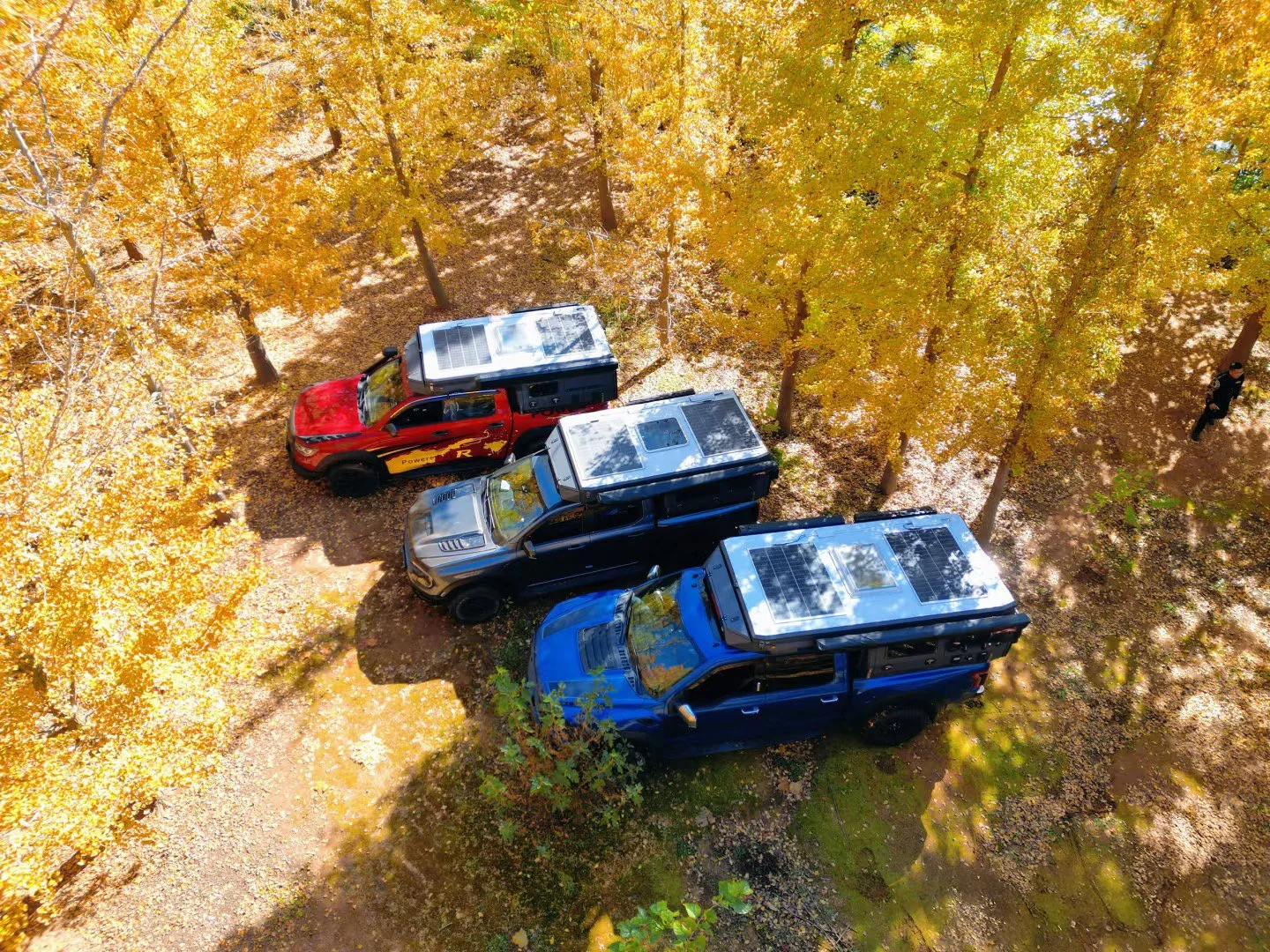 Four off-road vehicles with solar panels on their roofs parked among yellow autumn trees in a forest.