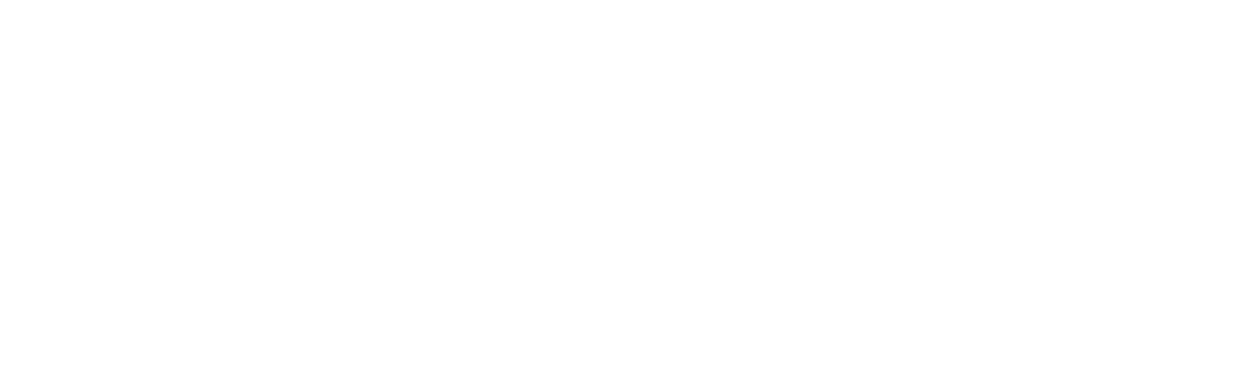 SyntheSys Defence Systems logo with a globe emblem and company name in white on a black background.