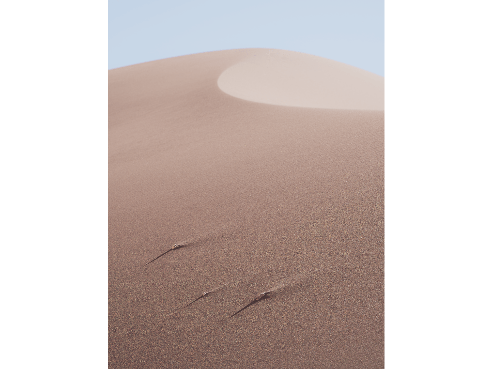 Whispers in the Sand