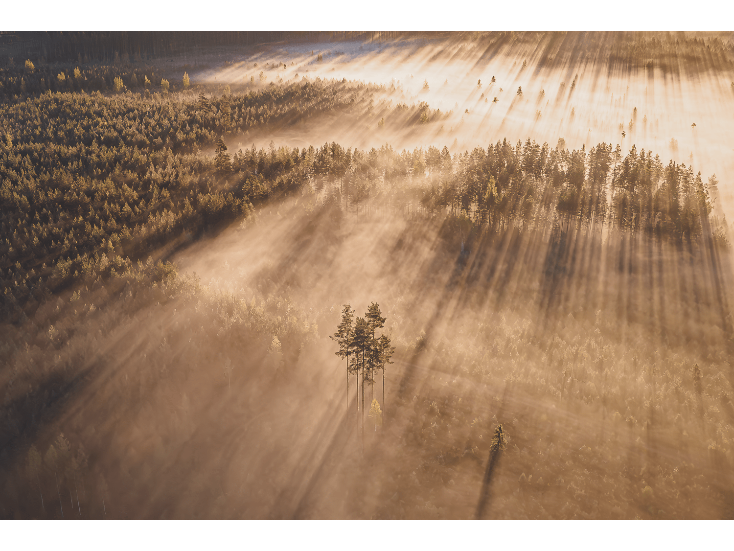 Dawn Rays