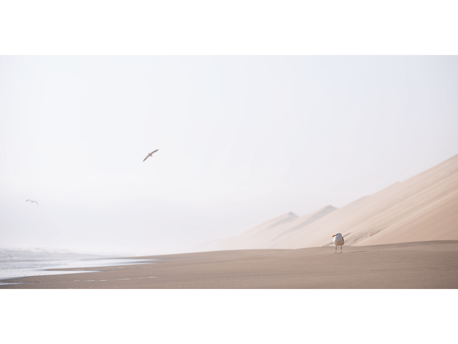 Solitude