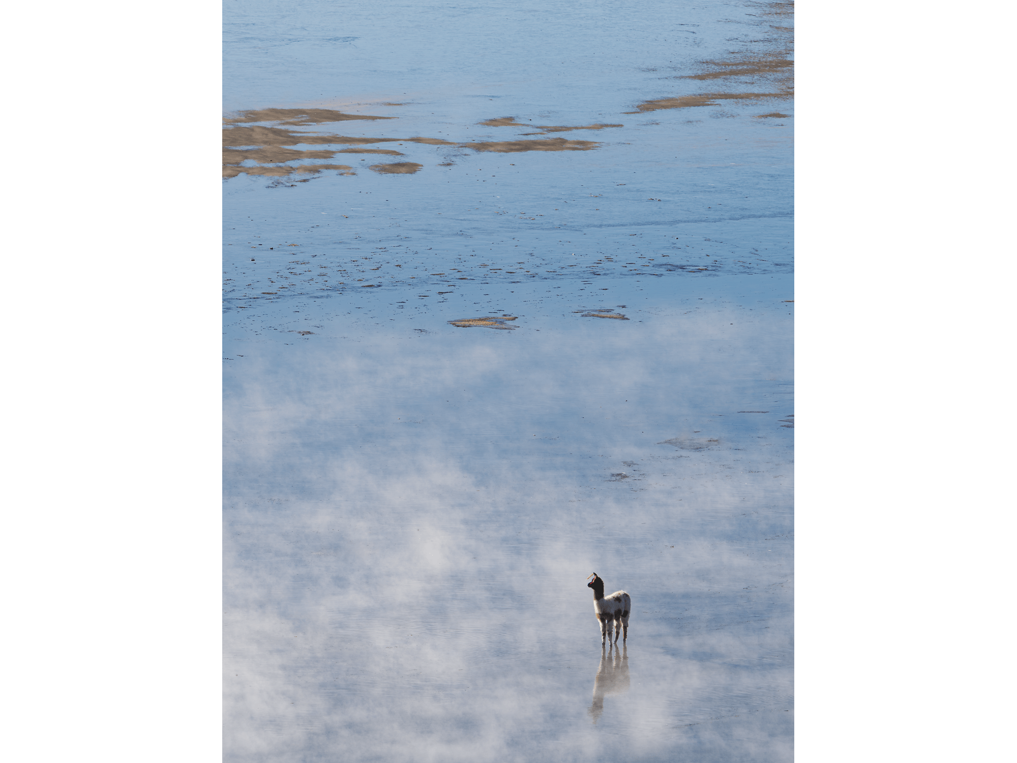 Between Worlds
