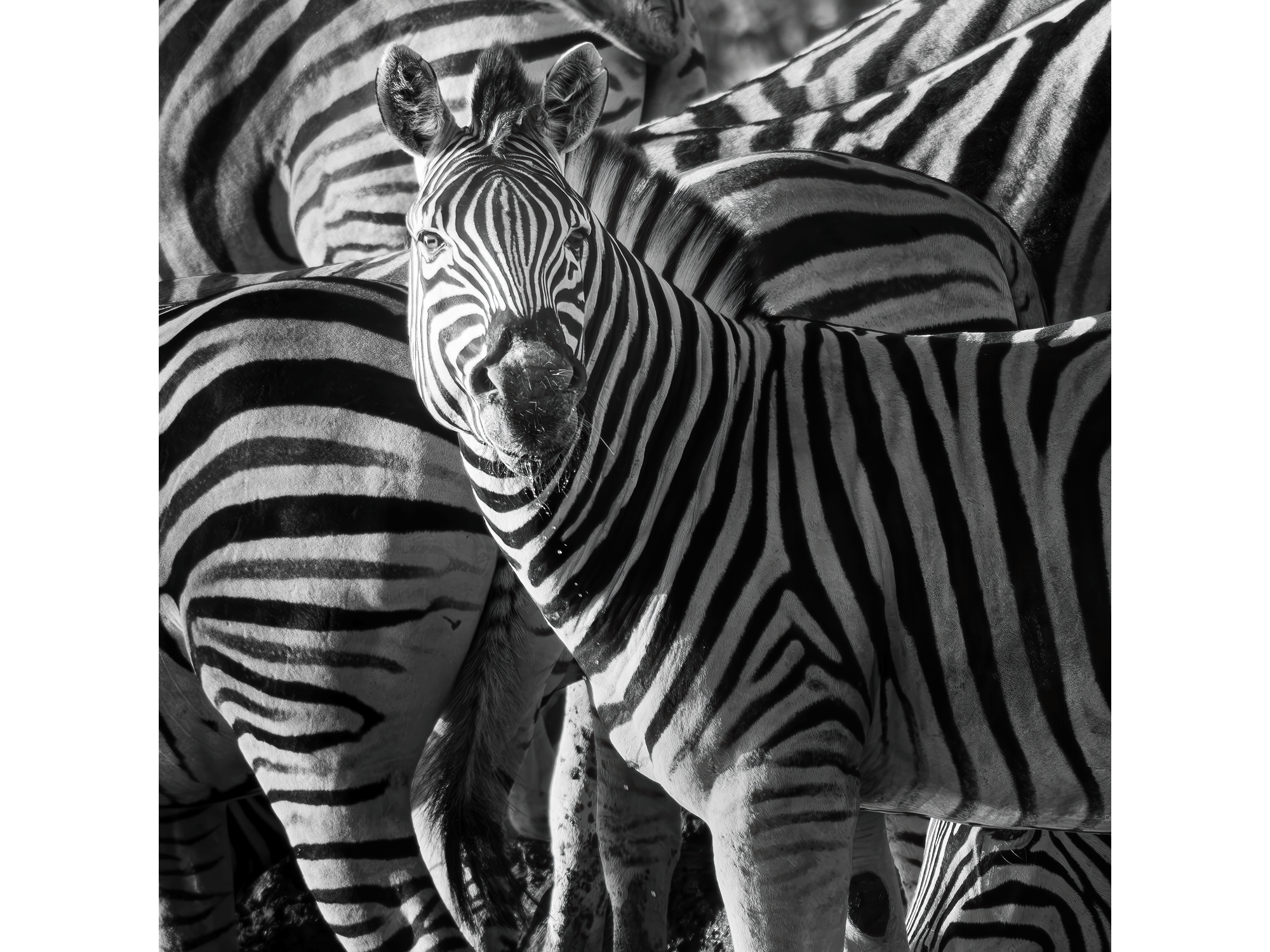 Lost in Pattern