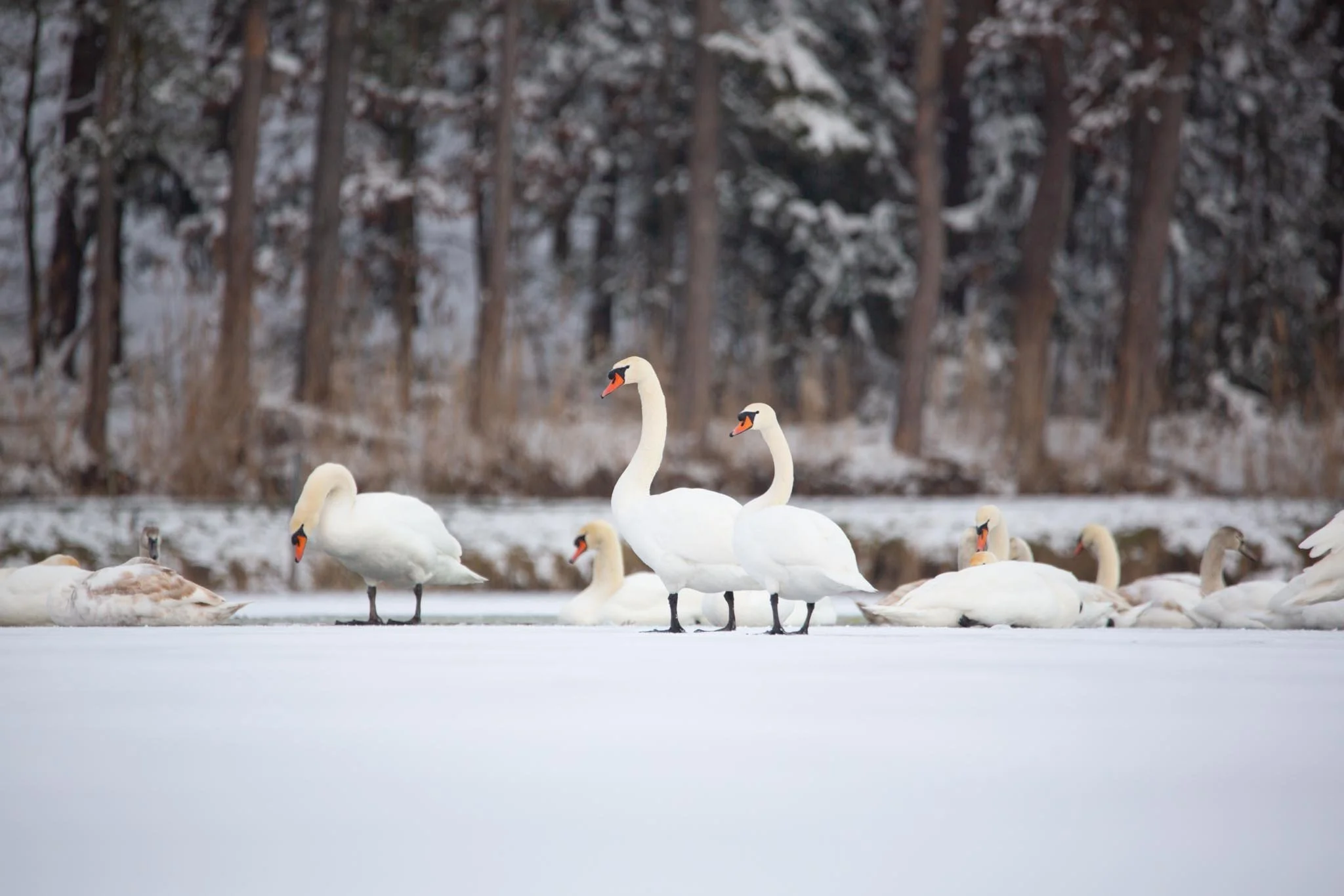 Fotos Webseite Aischgrund-46.jpg