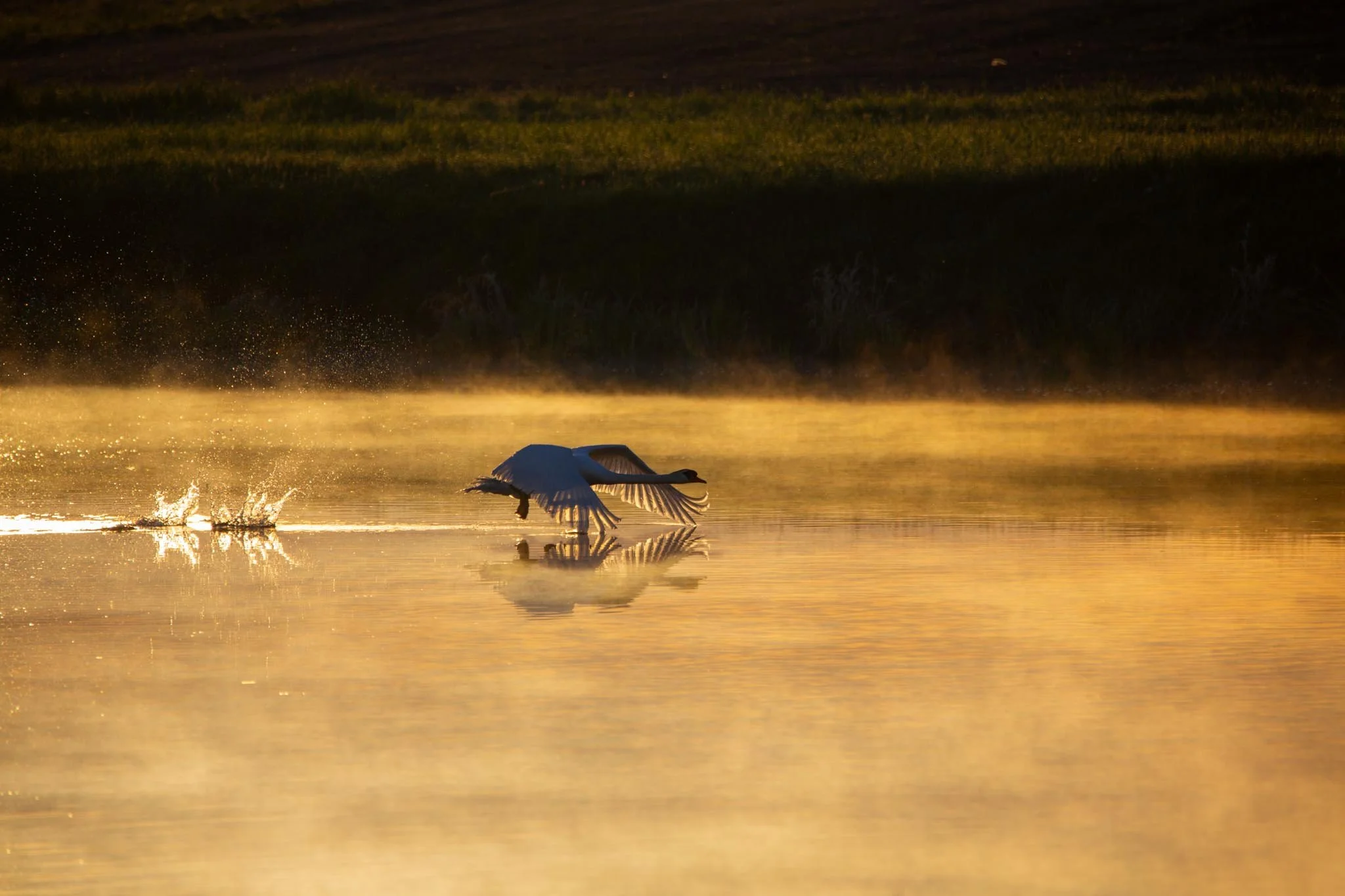 Fotos Webseite Aischgrund-86.jpg