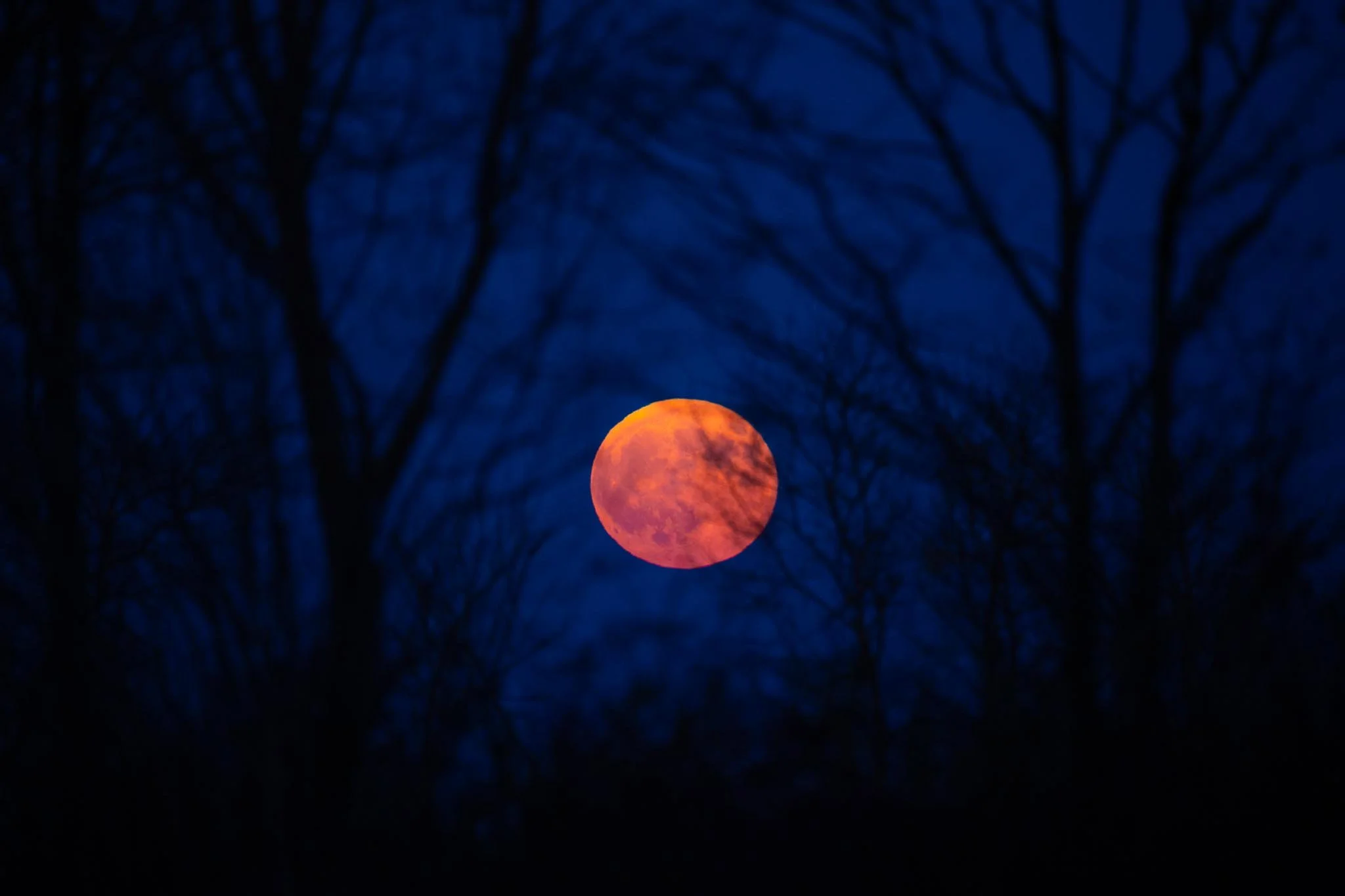 Fotos Webseite Aischgrund-39.jpg