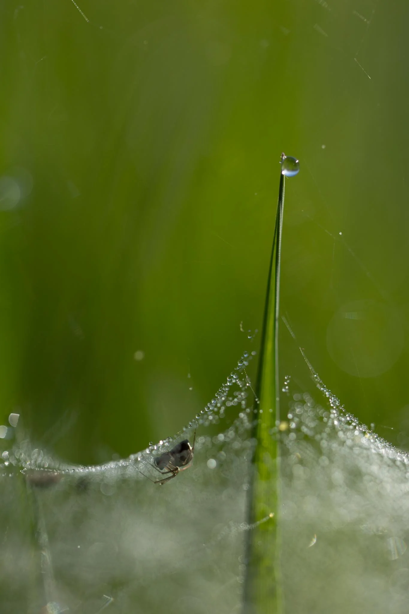 Fotos Webseite Aischgrund-299.jpg