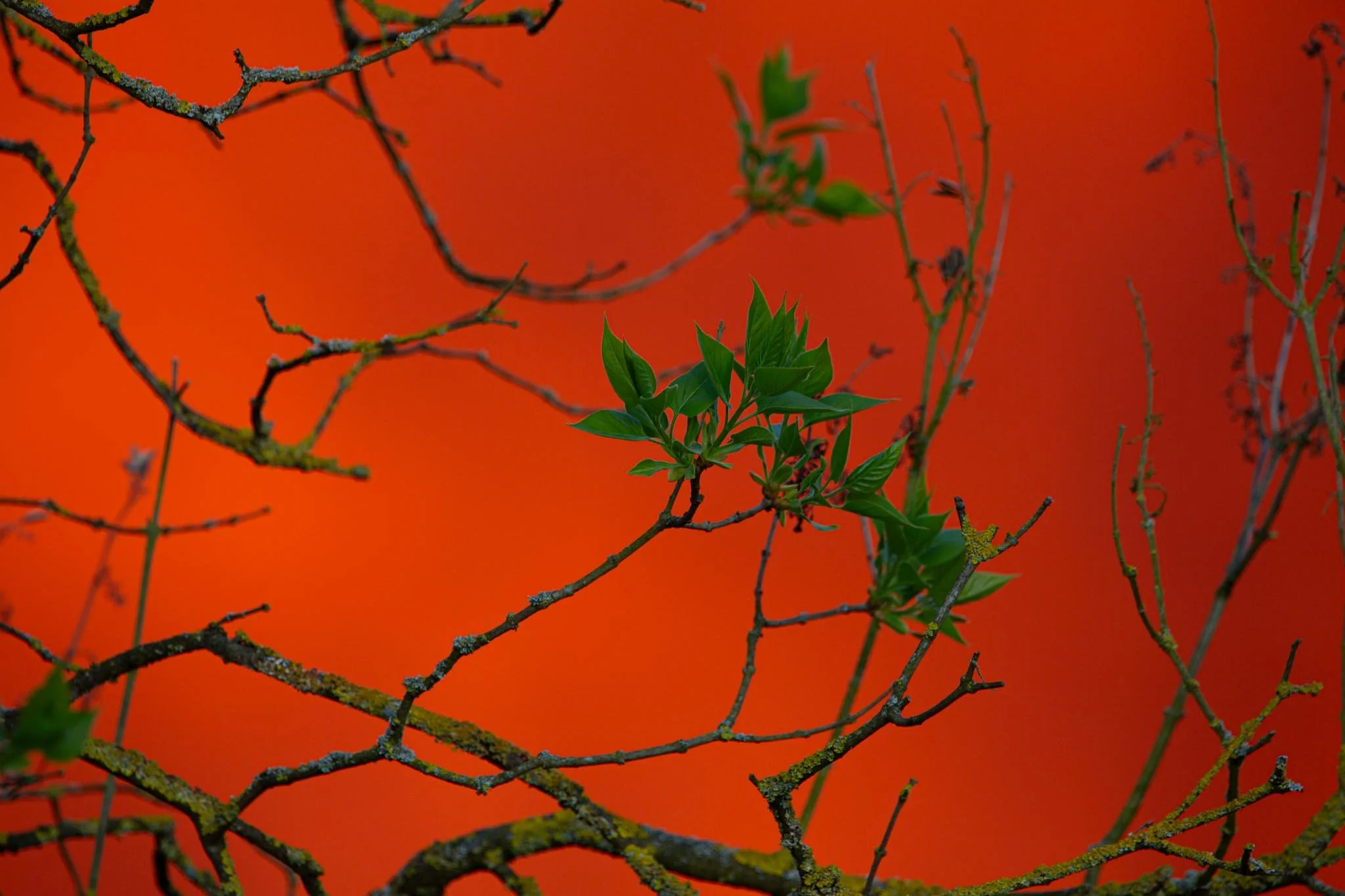 Fotos Webseite Aischgrund-81.jpg