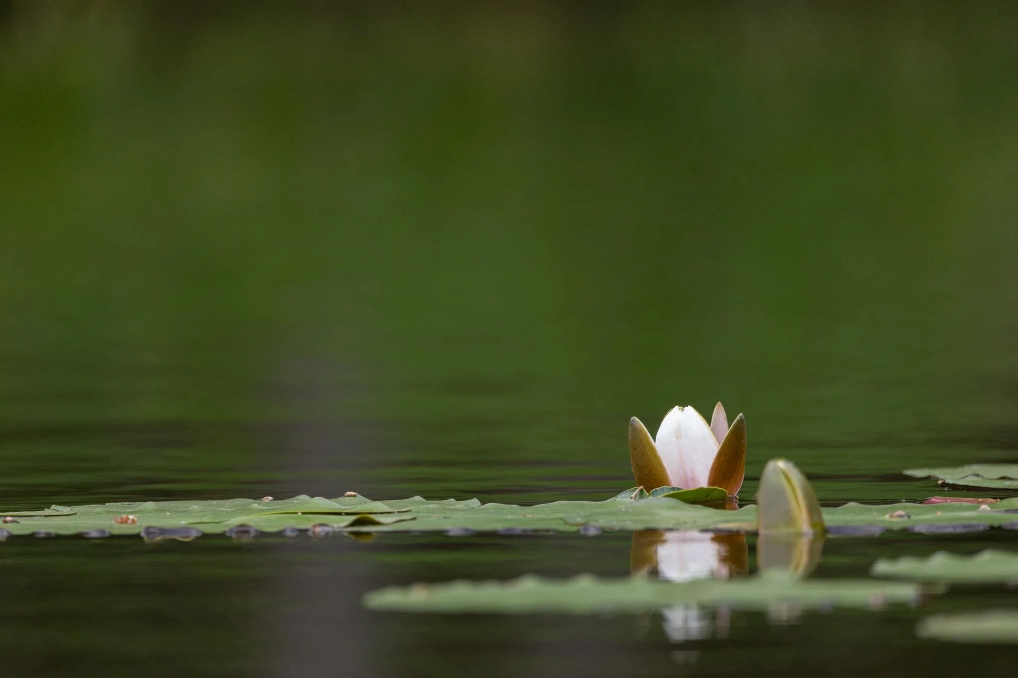 Fotos Webseite Aischgrund-239.jpg