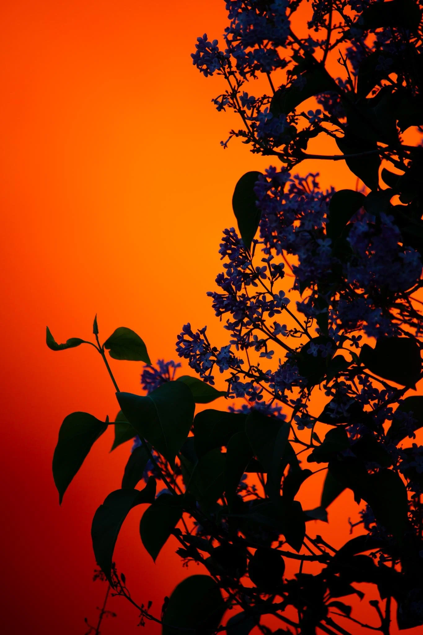 Fotos Webseite Aischgrund-22.jpg