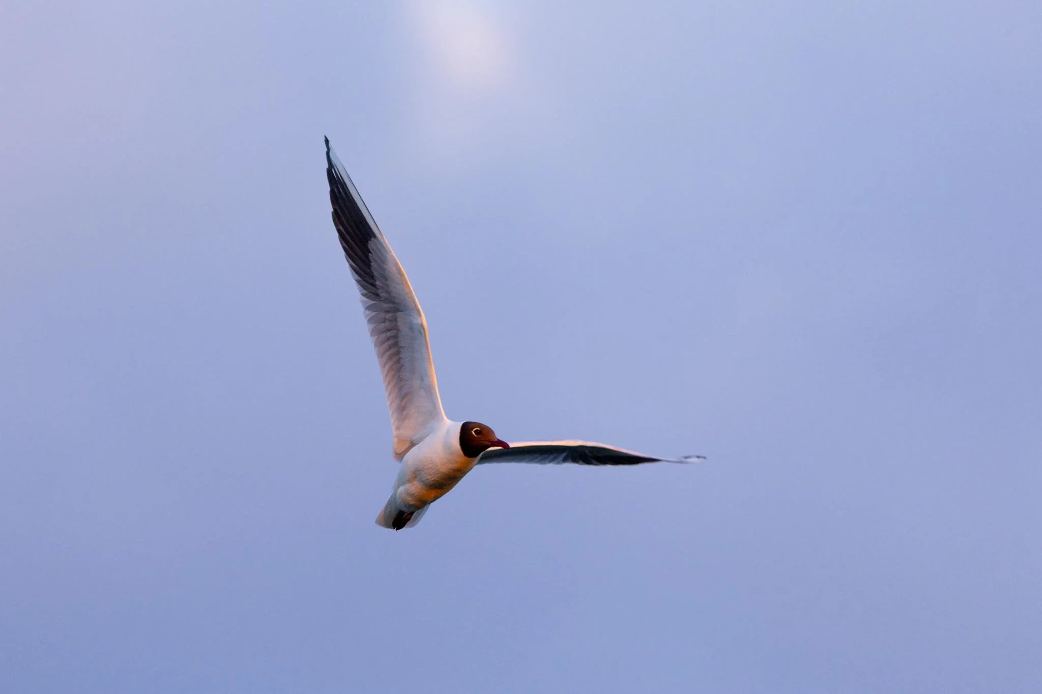 Fotos Webseite Aischgrund-213.jpg