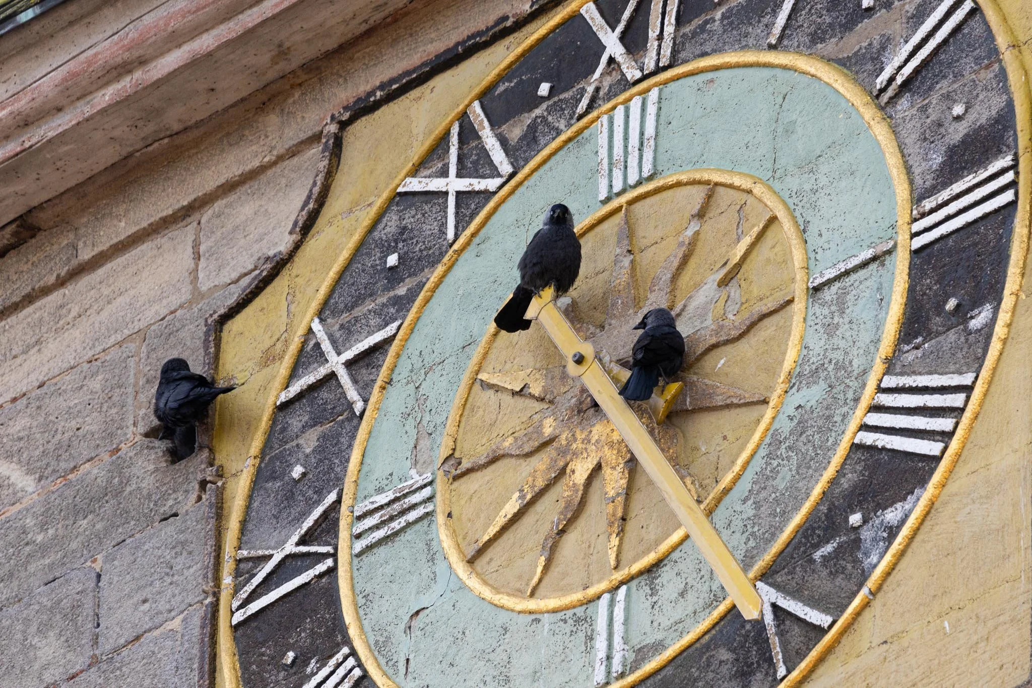 Fotos Webseite Aischgrund-197.jpg