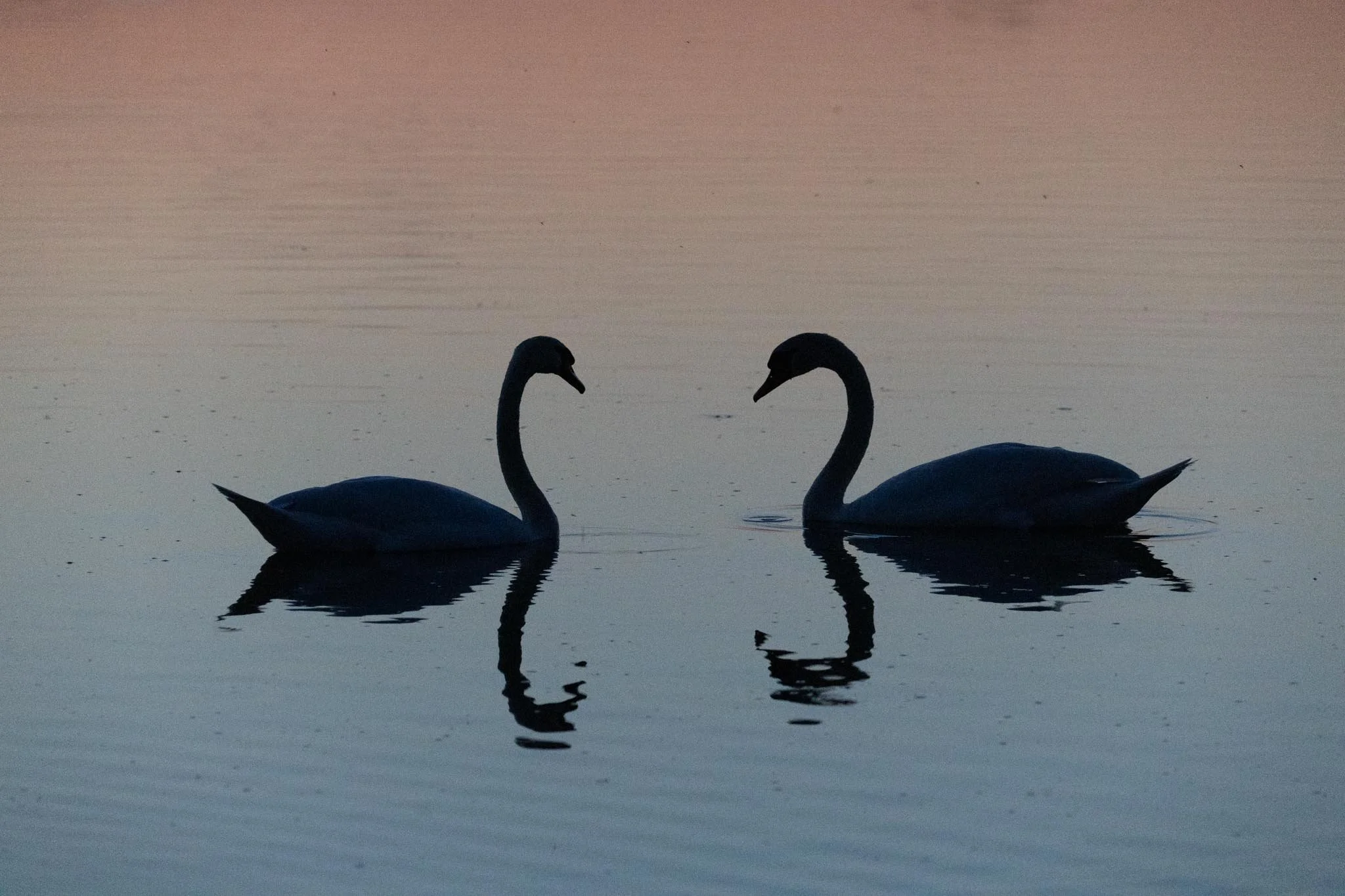 Fotos Webseite Aischgrund-339.jpg