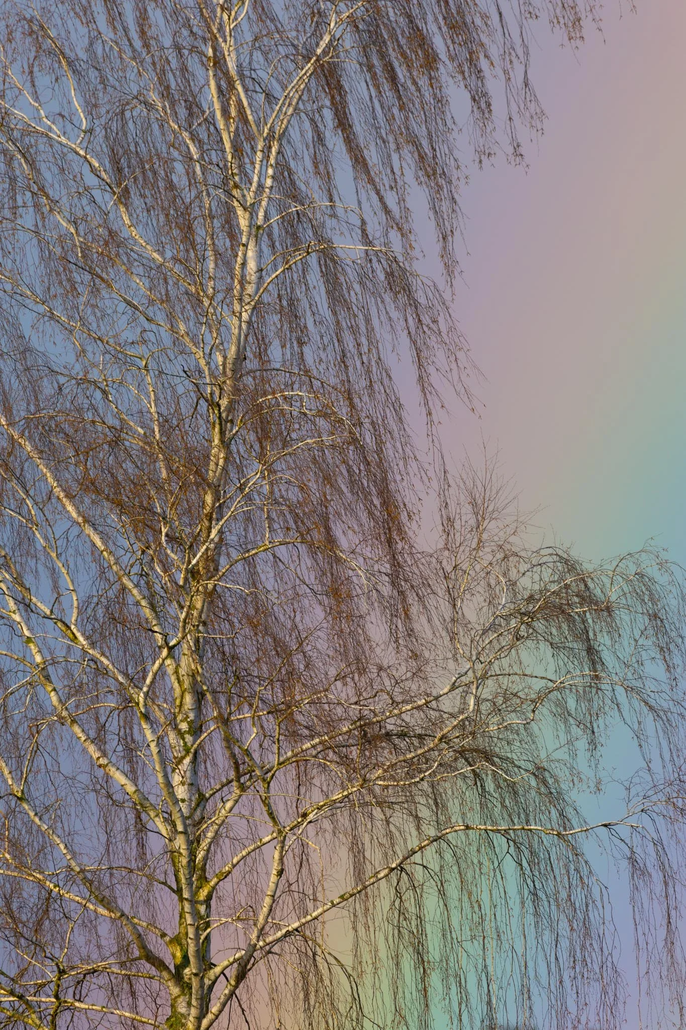 Fotos Webseite Aischgrund-113.jpg