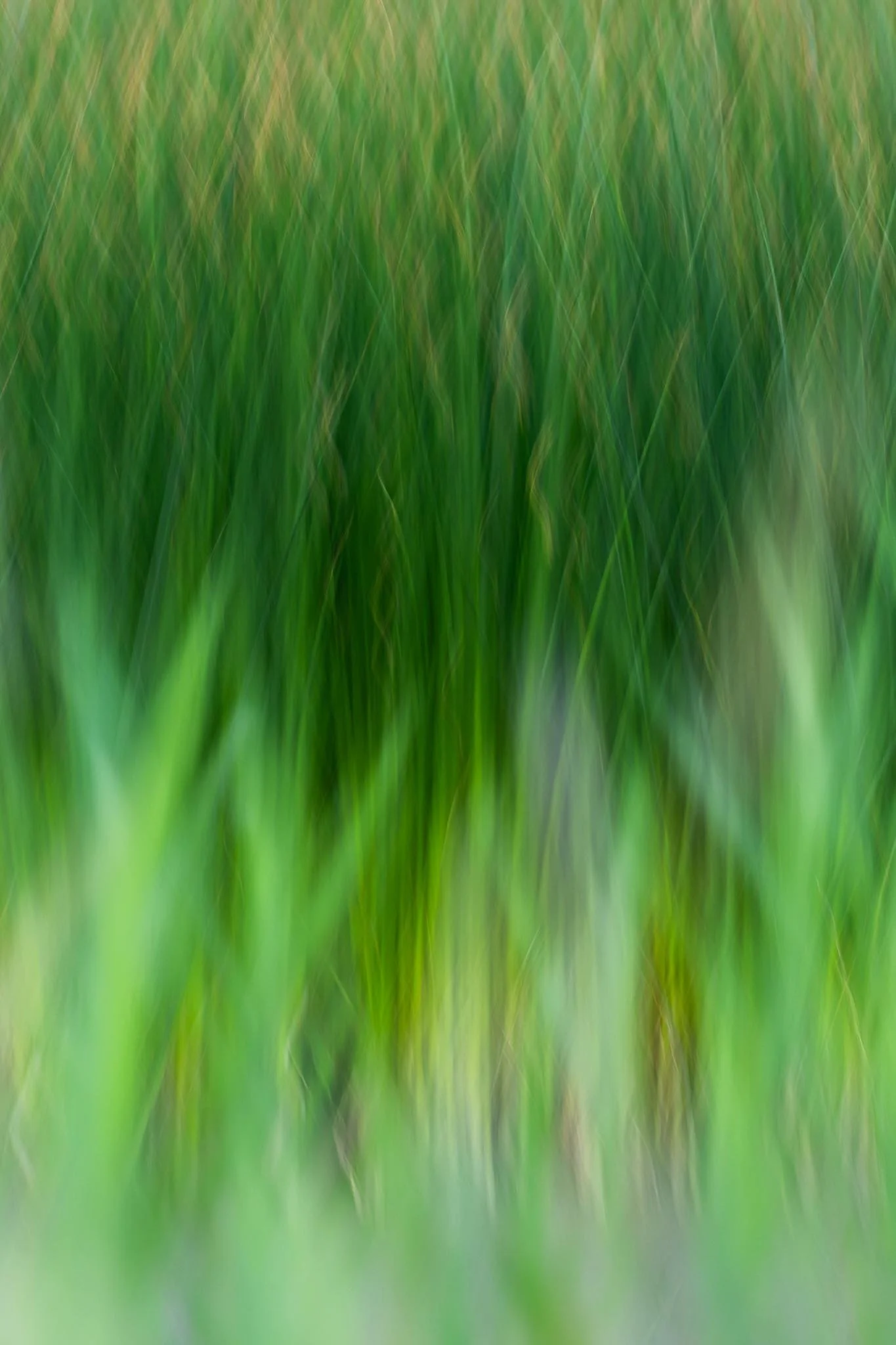 Fotos Webseite Aischgrund-331.jpg