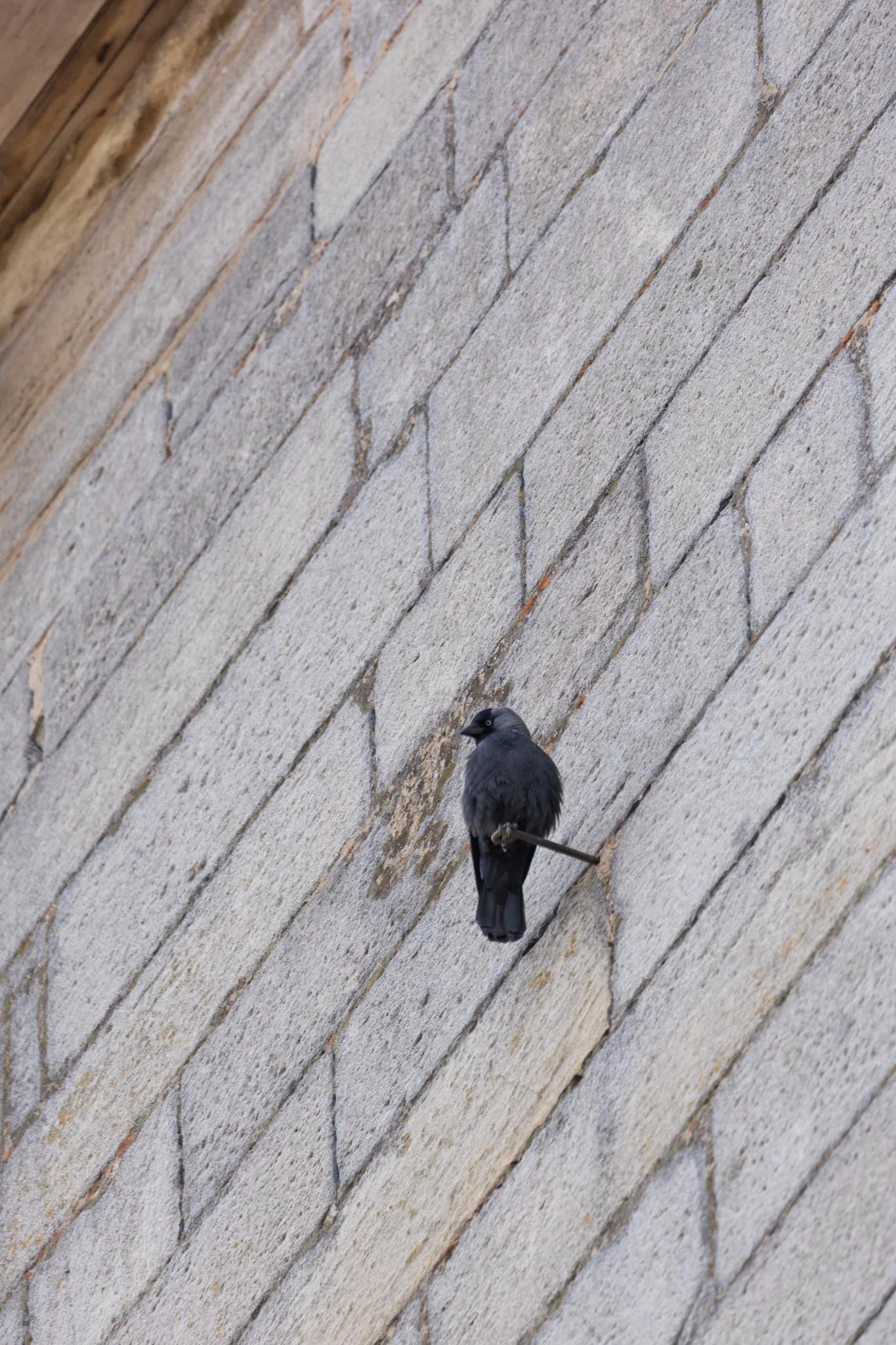 Fotos Webseite Aischgrund-198.jpg