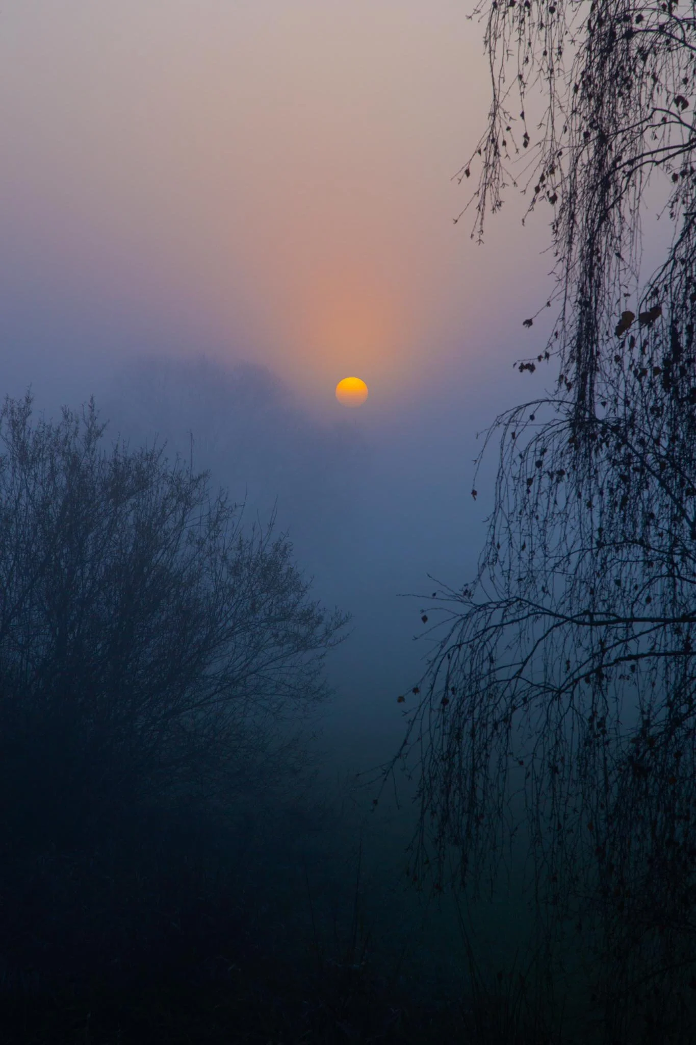 Fotos Webseite Aischgrund-99.jpg