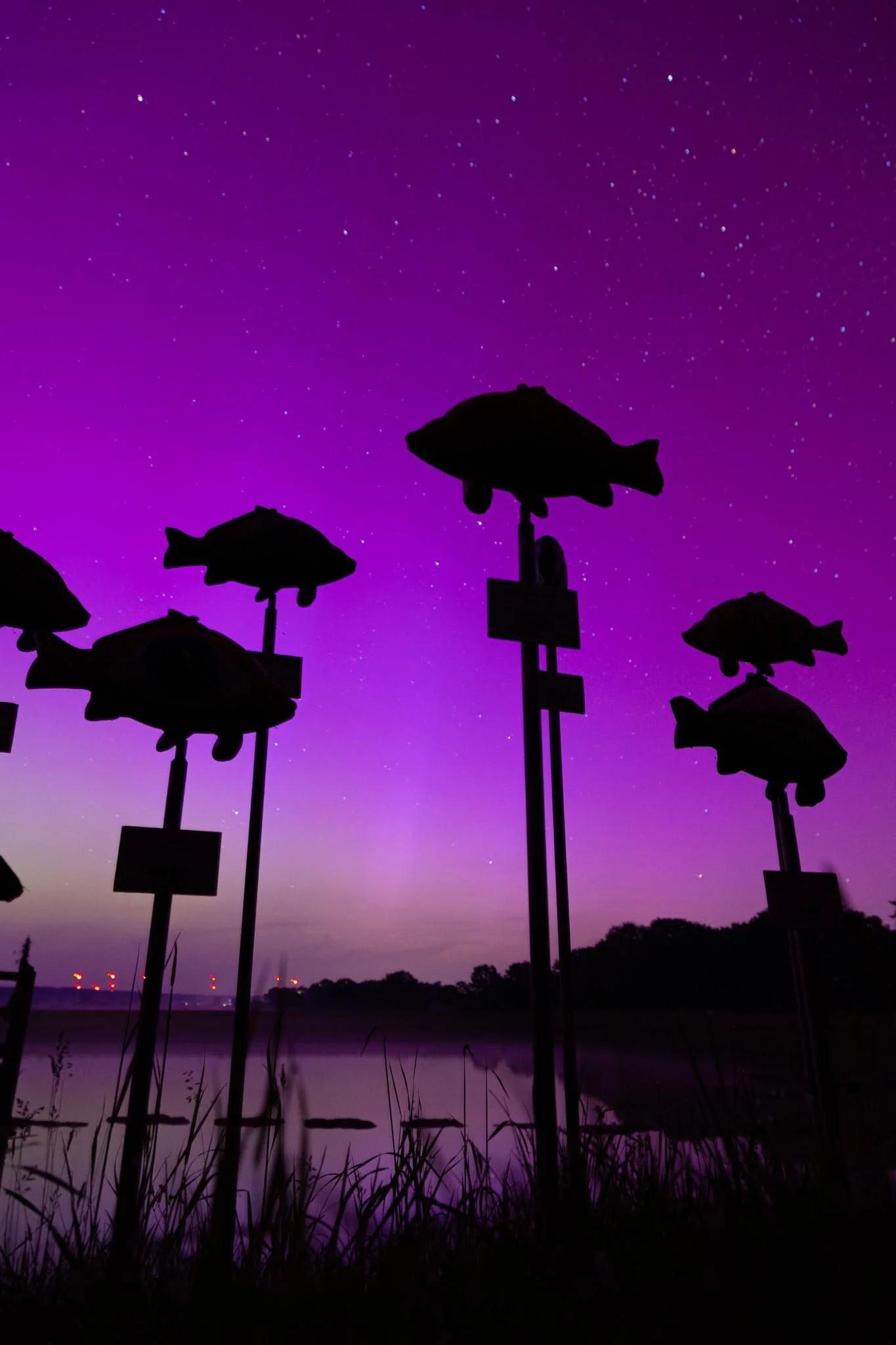 Fotos Webseite Aischgrund-210.jpg