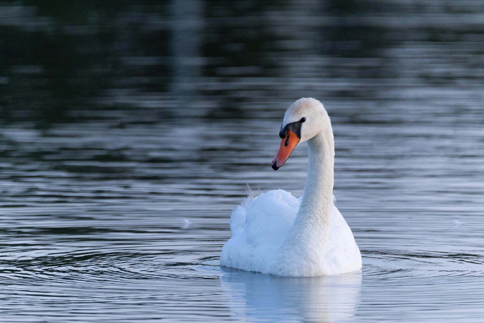 Fotos Webseite Aischgrund-276.jpg