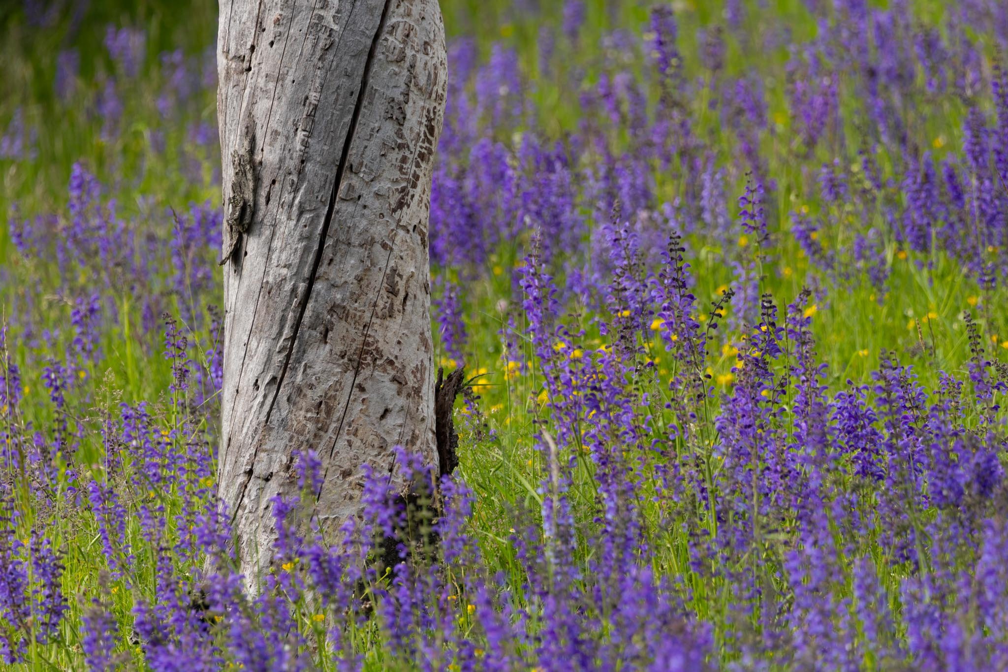 Fotos Webseite Aischgrund-307.jpg