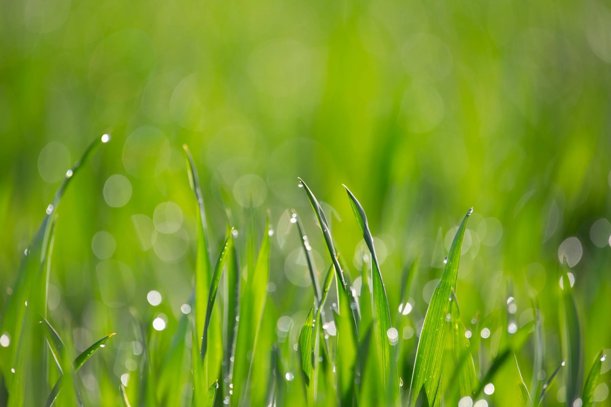 Fotos Webseite Aischgrund-20.jpg