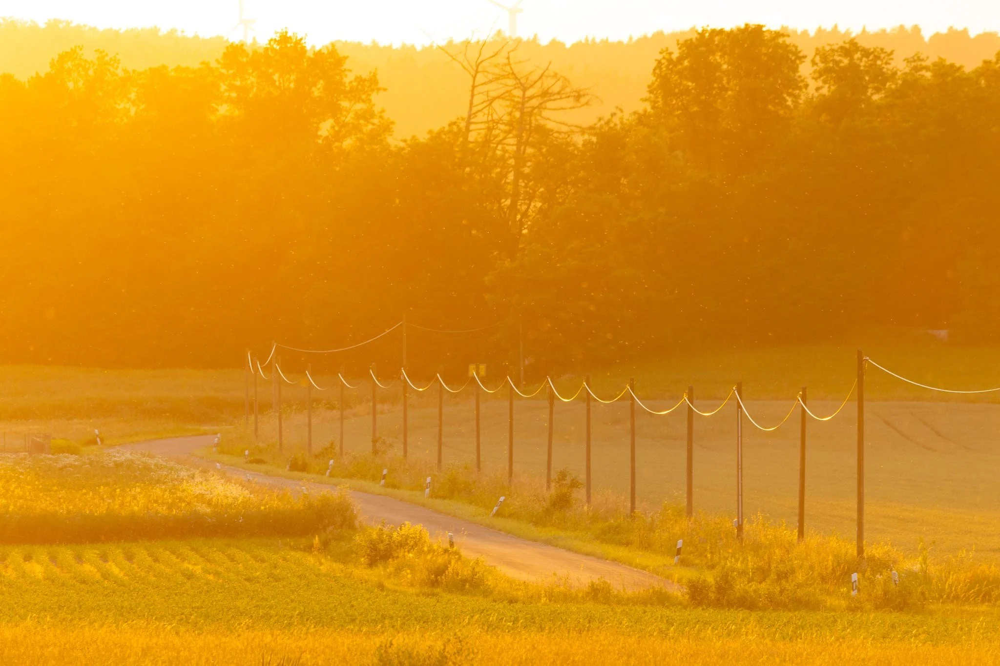 Fotos Webseite Aischgrund-248.jpg