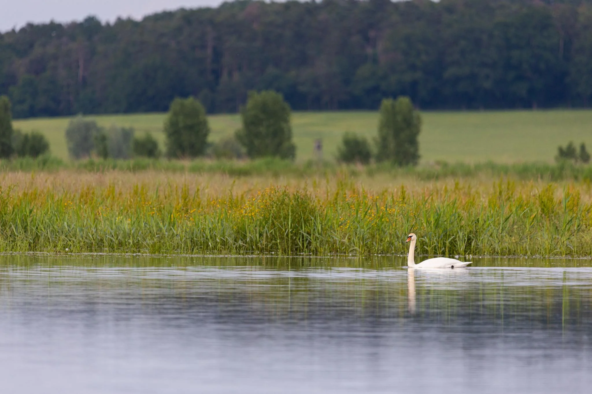 Fotos Webseite Aischgrund-235.jpg