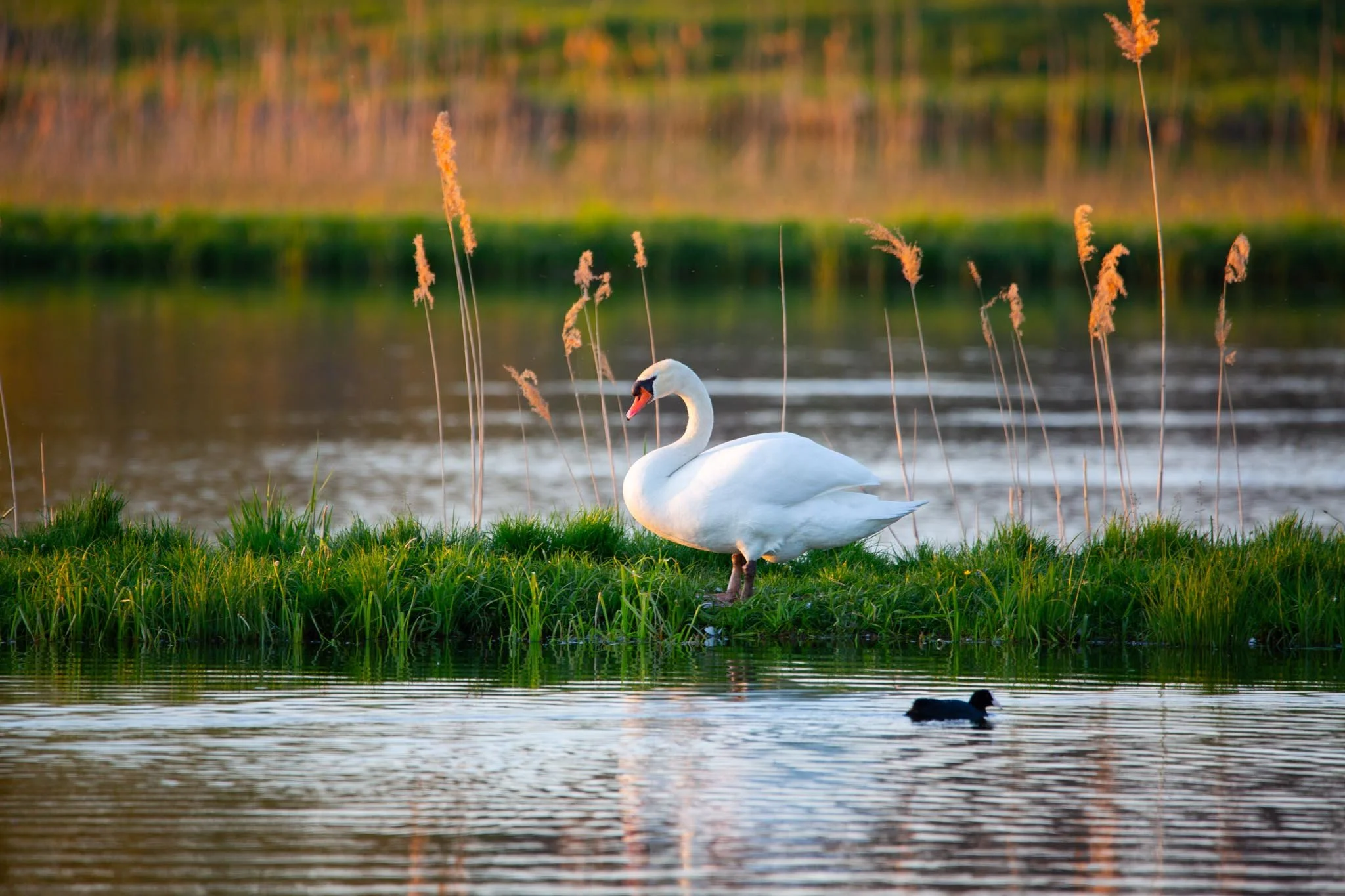 Fotos Webseite Aischgrund-17.jpg