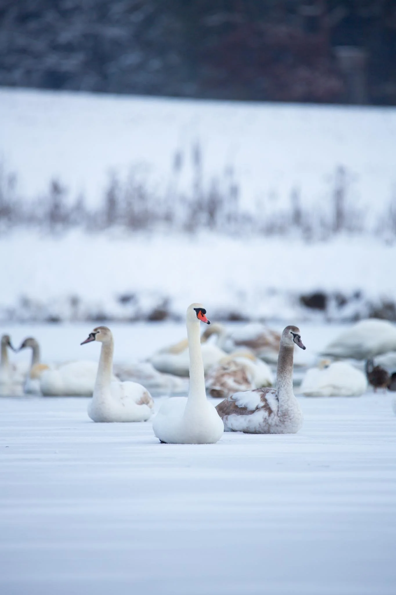 Fotos Webseite Aischgrund-48.jpg