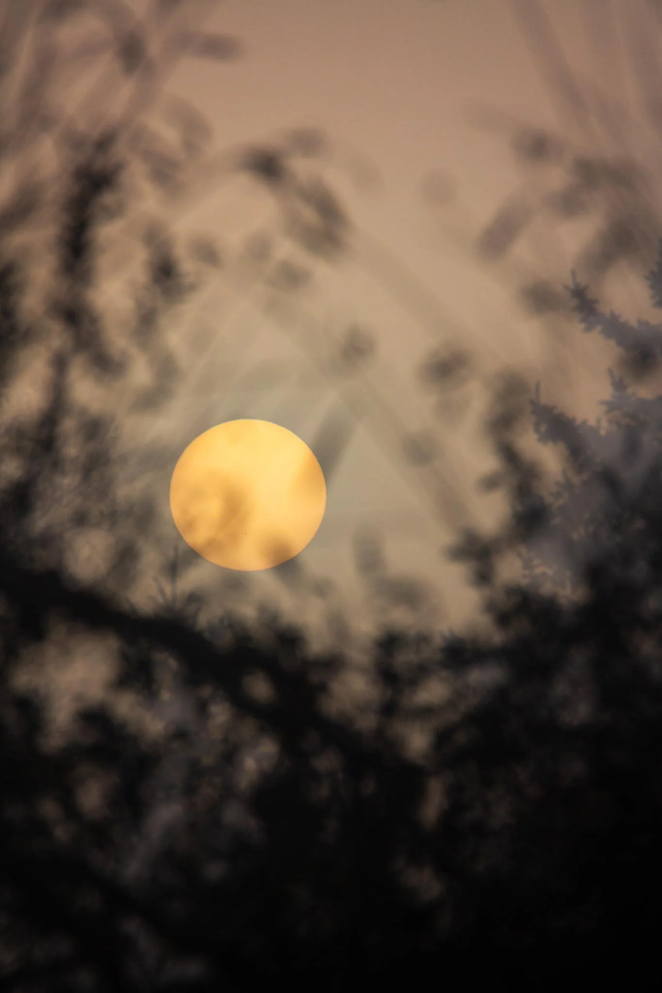 Fotos Webseite Aischgrund-97.jpg