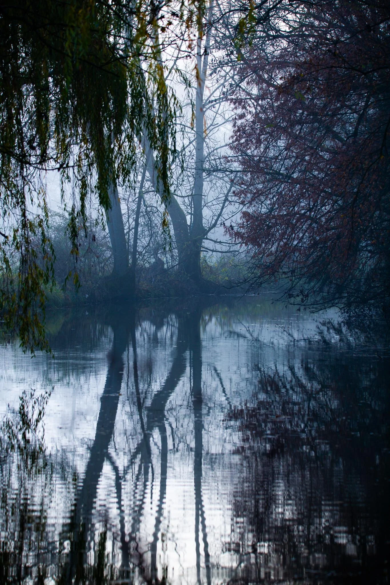 Fotos Webseite Aischgrund-95.jpg