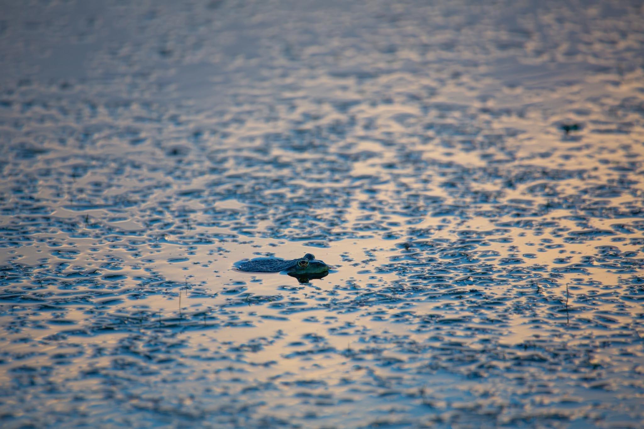 Fotos Webseite Aischgrund-23.jpg