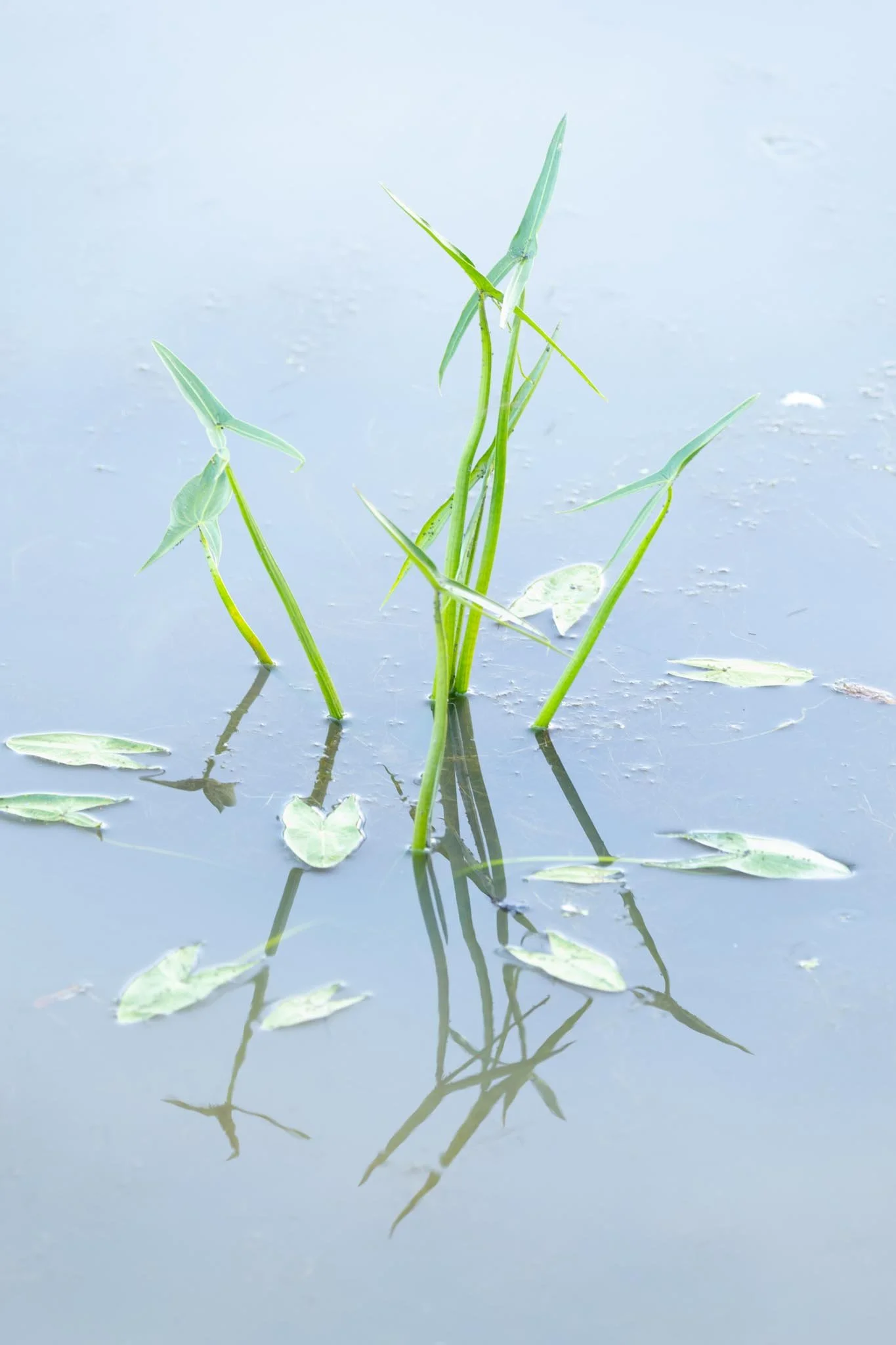 Fotos Webseite Aischgrund-329.jpg