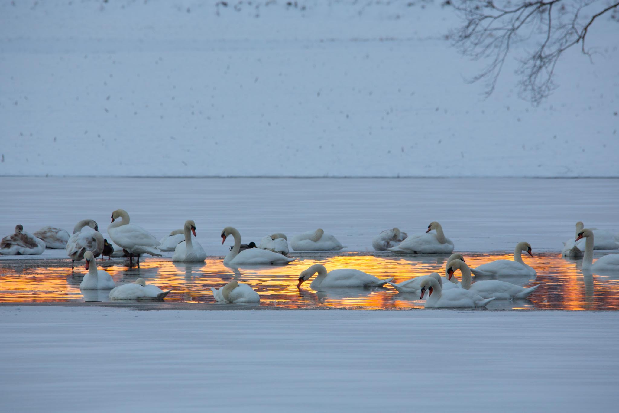 Fotos Webseite Aischgrund-49.jpg