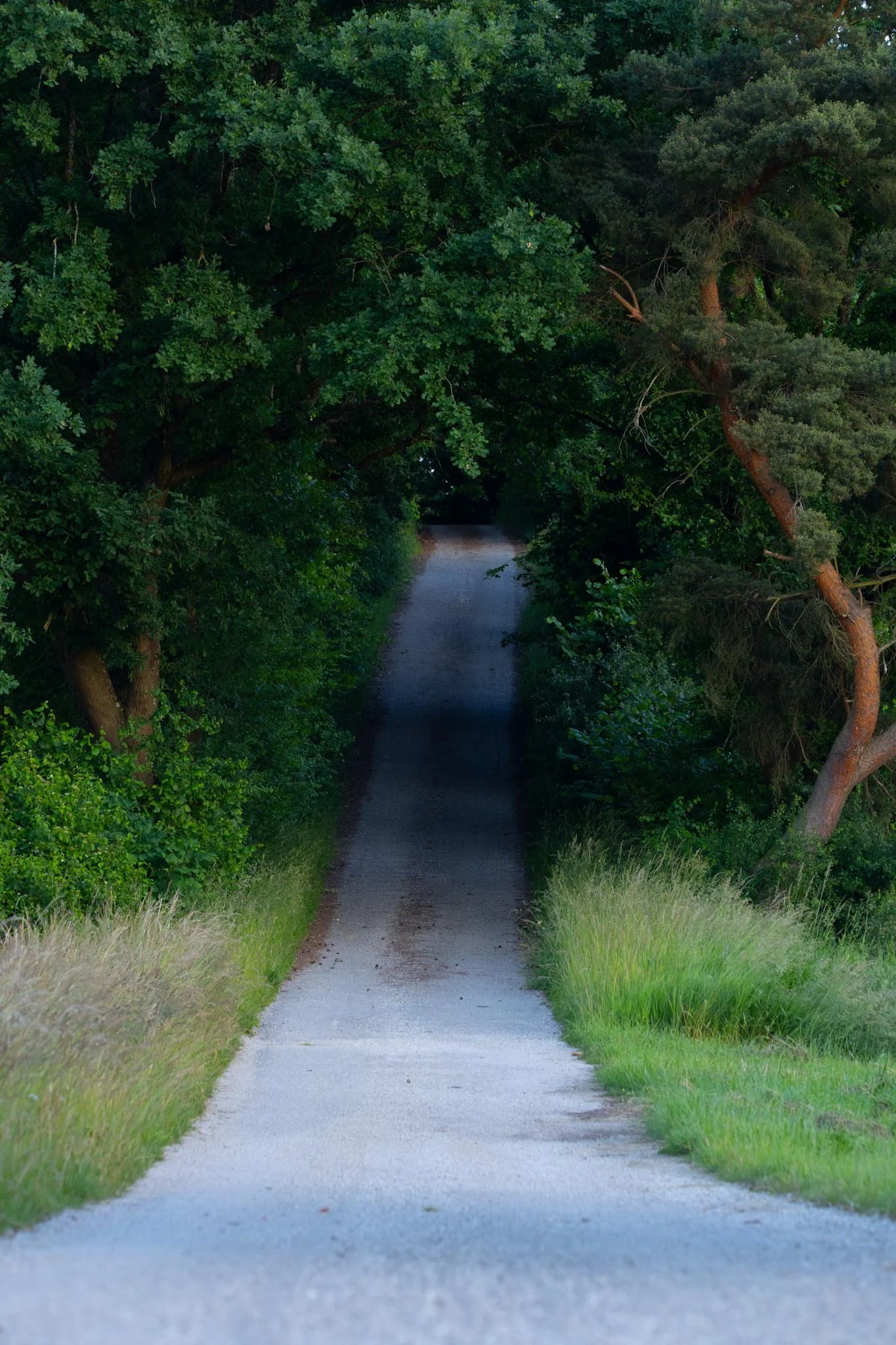 Fotos Webseite Aischgrund-332.jpg