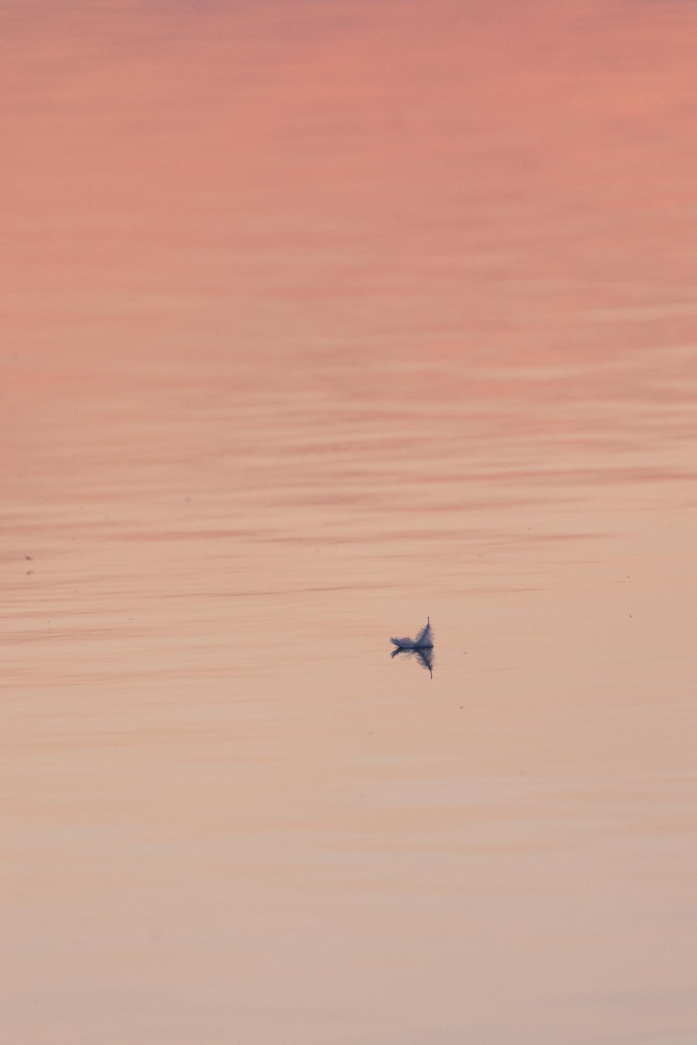 Fotos Webseite Aischgrund-334.jpg