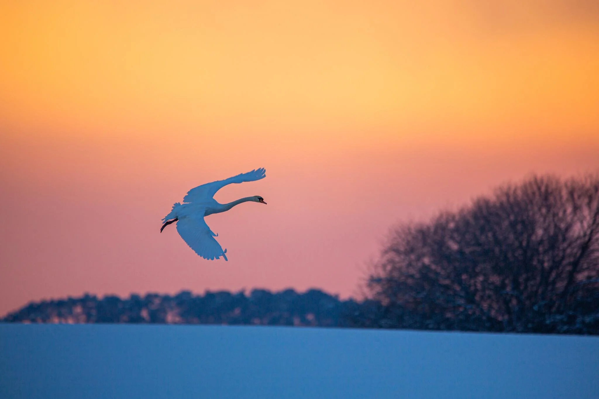 Fotos Webseite Aischgrund-50.jpg