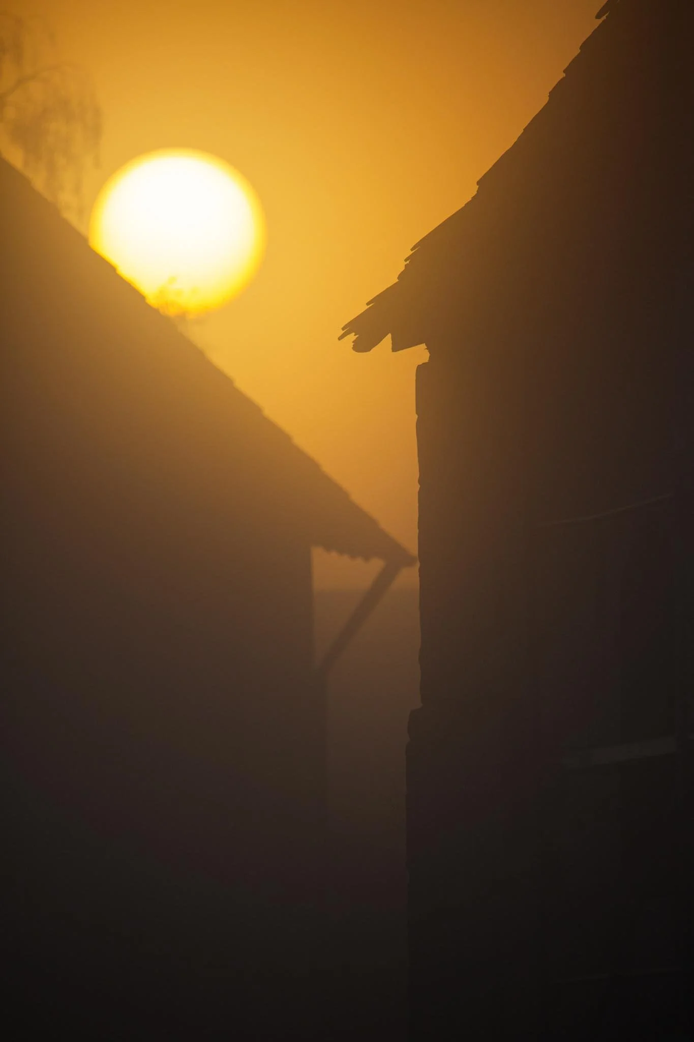 Fotos Webseite Aischgrund-98.jpg