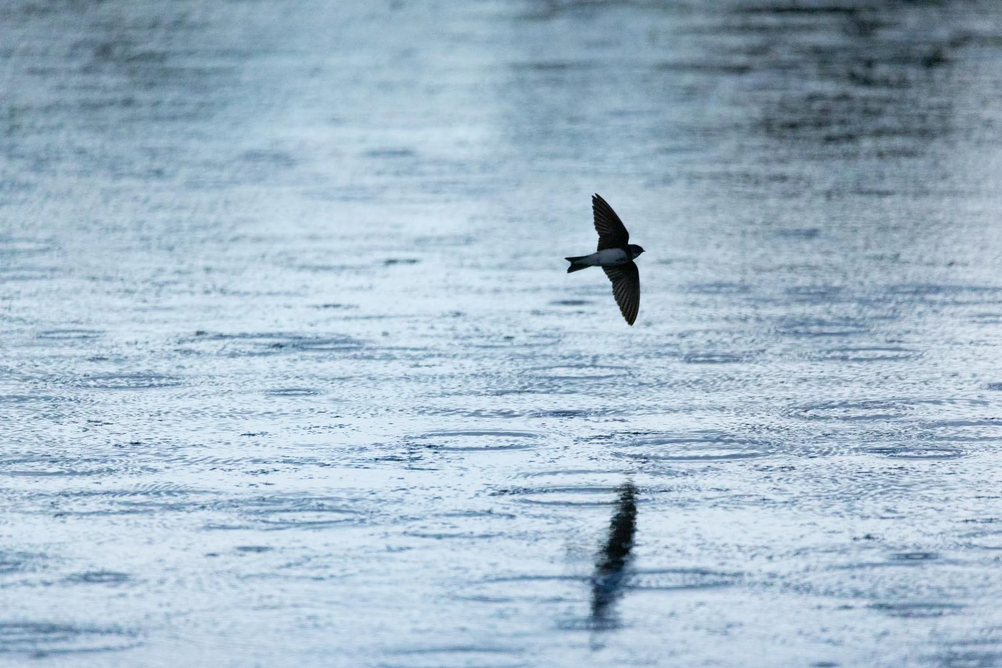 Fotos Webseite Aischgrund-259.jpg