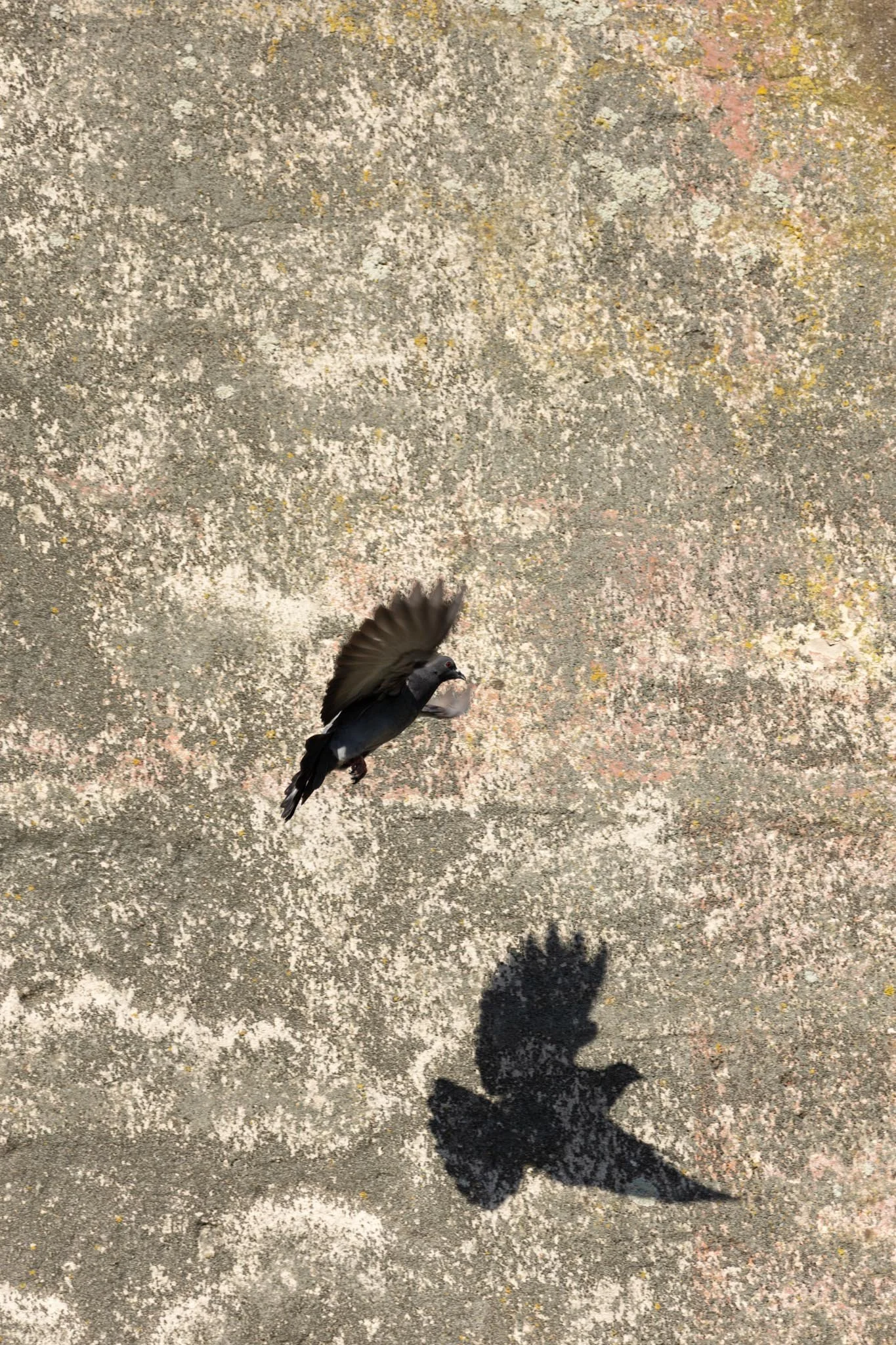 Fotos Webseite Aischgrund-303.jpg