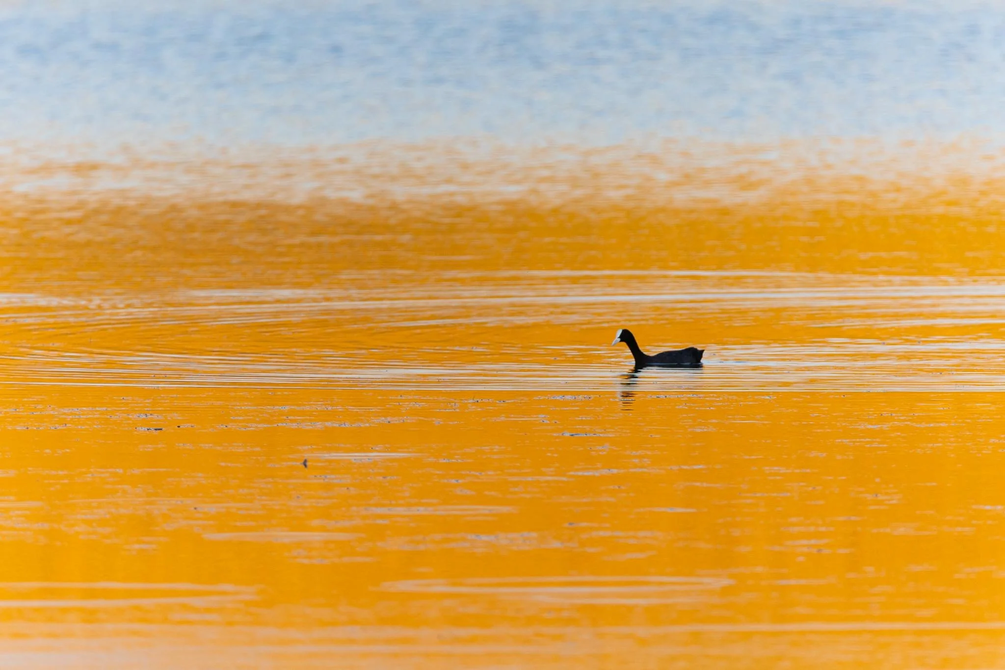 Fotos Webseite Aischgrund-267.jpg