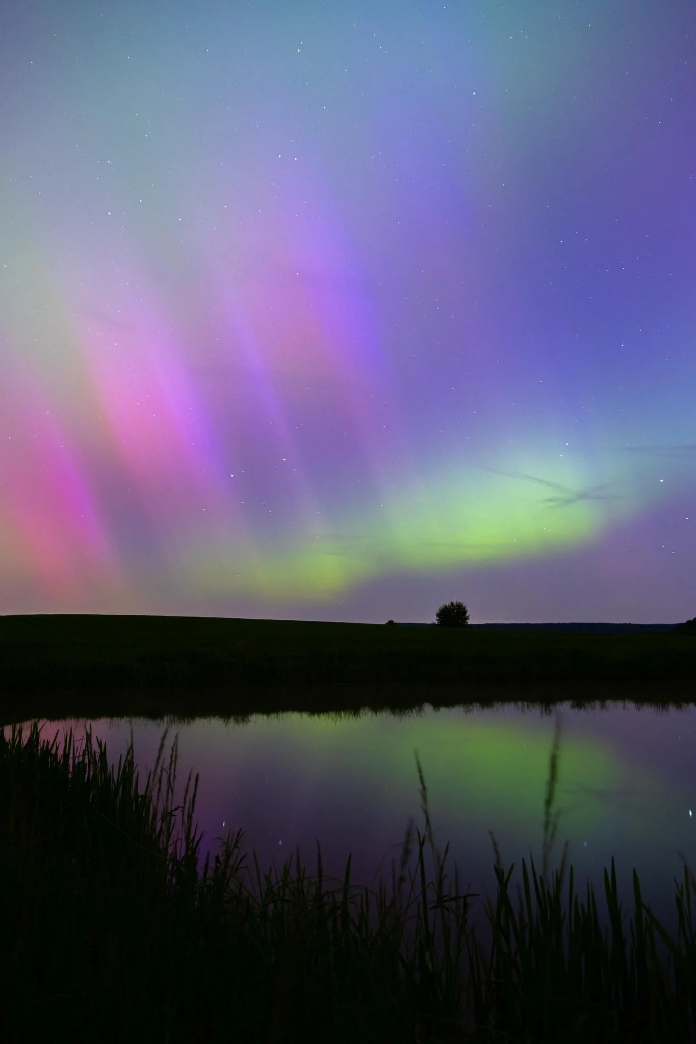 Fotos Webseite Aischgrund-203.jpg