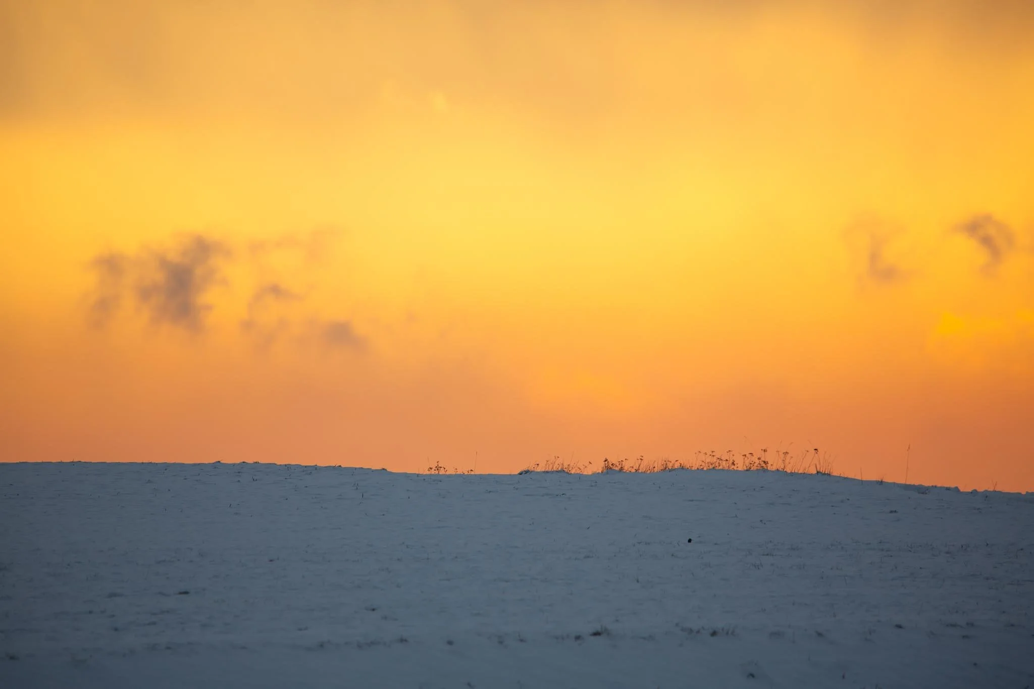 Fotos Webseite Aischgrund-47.jpg