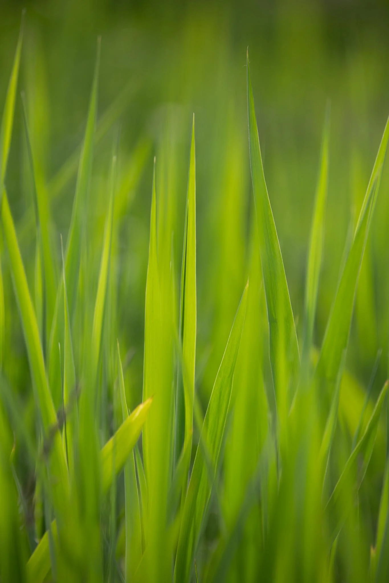 Fotos Webseite Aischgrund-110.jpg