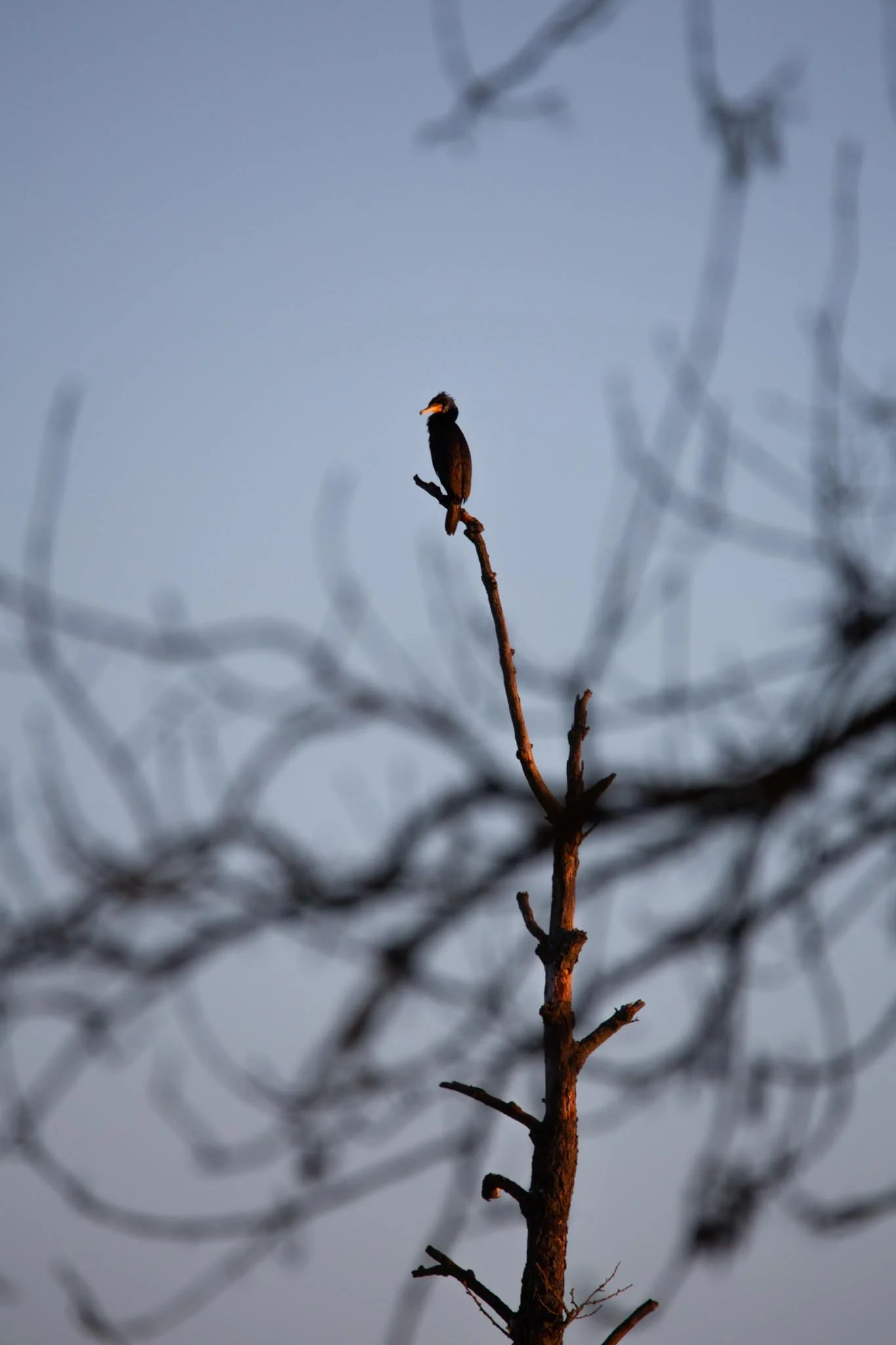 Fotos Webseite Aischgrund-58.jpg