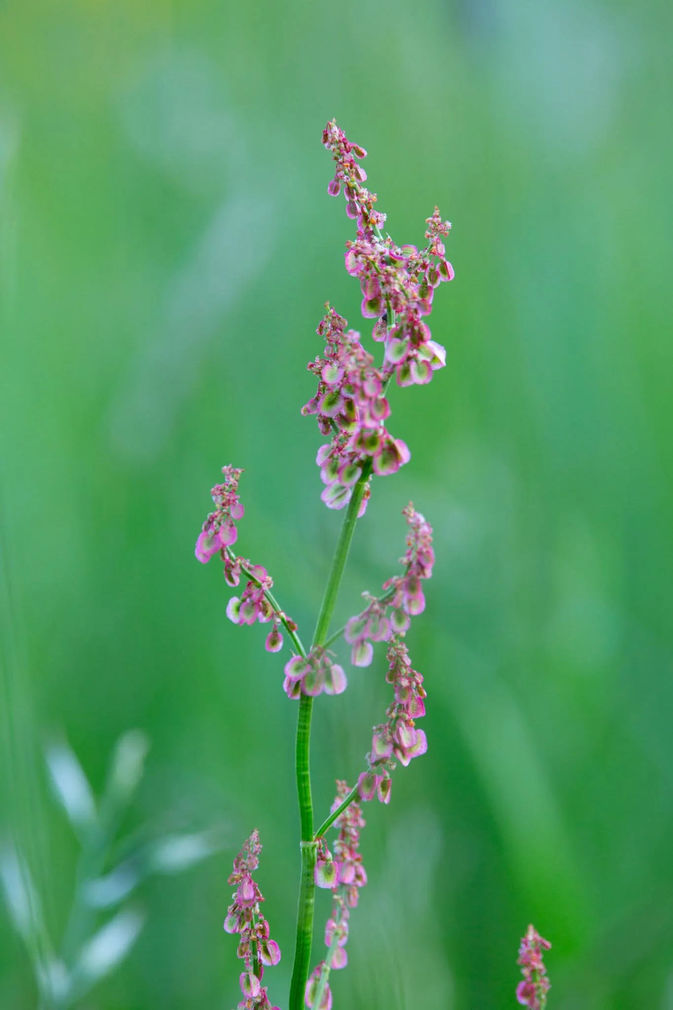 Fotos Webseite Aischgrund-88.jpg